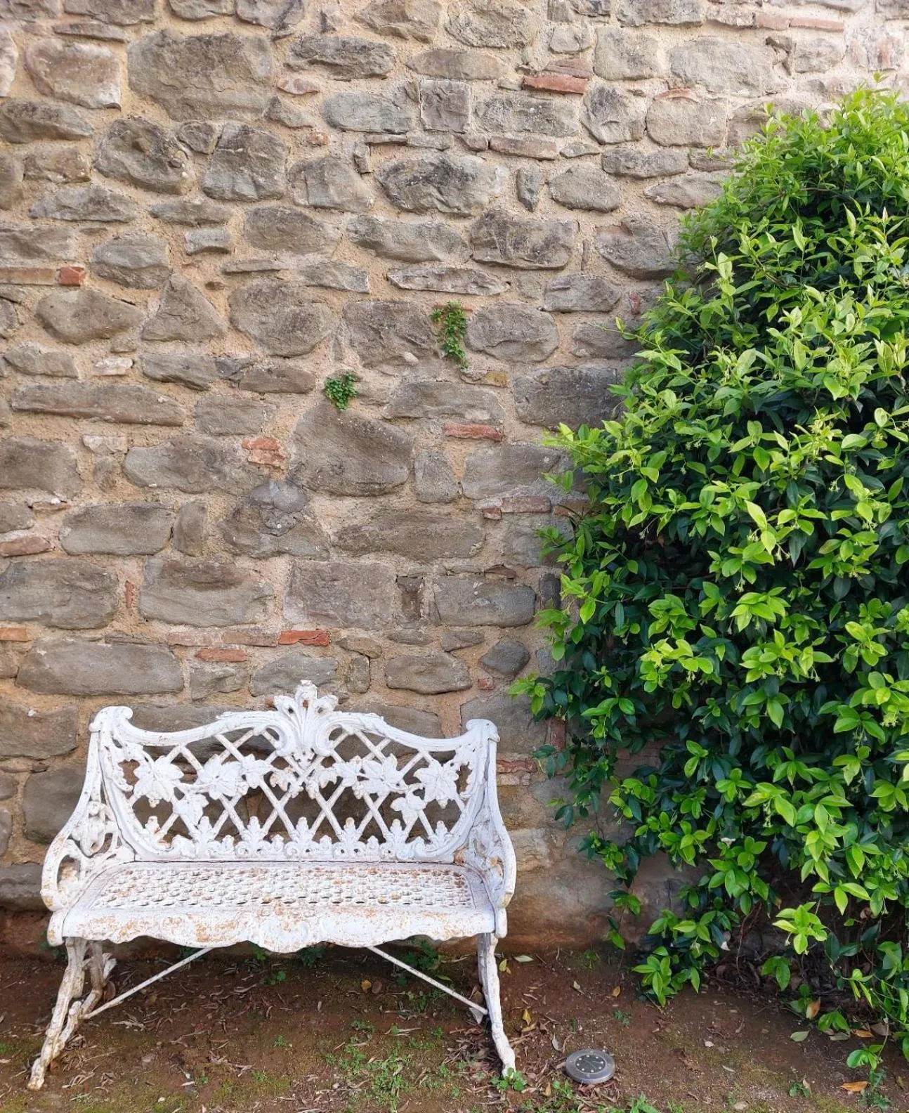 Garden in B&B Palazzo Mattei