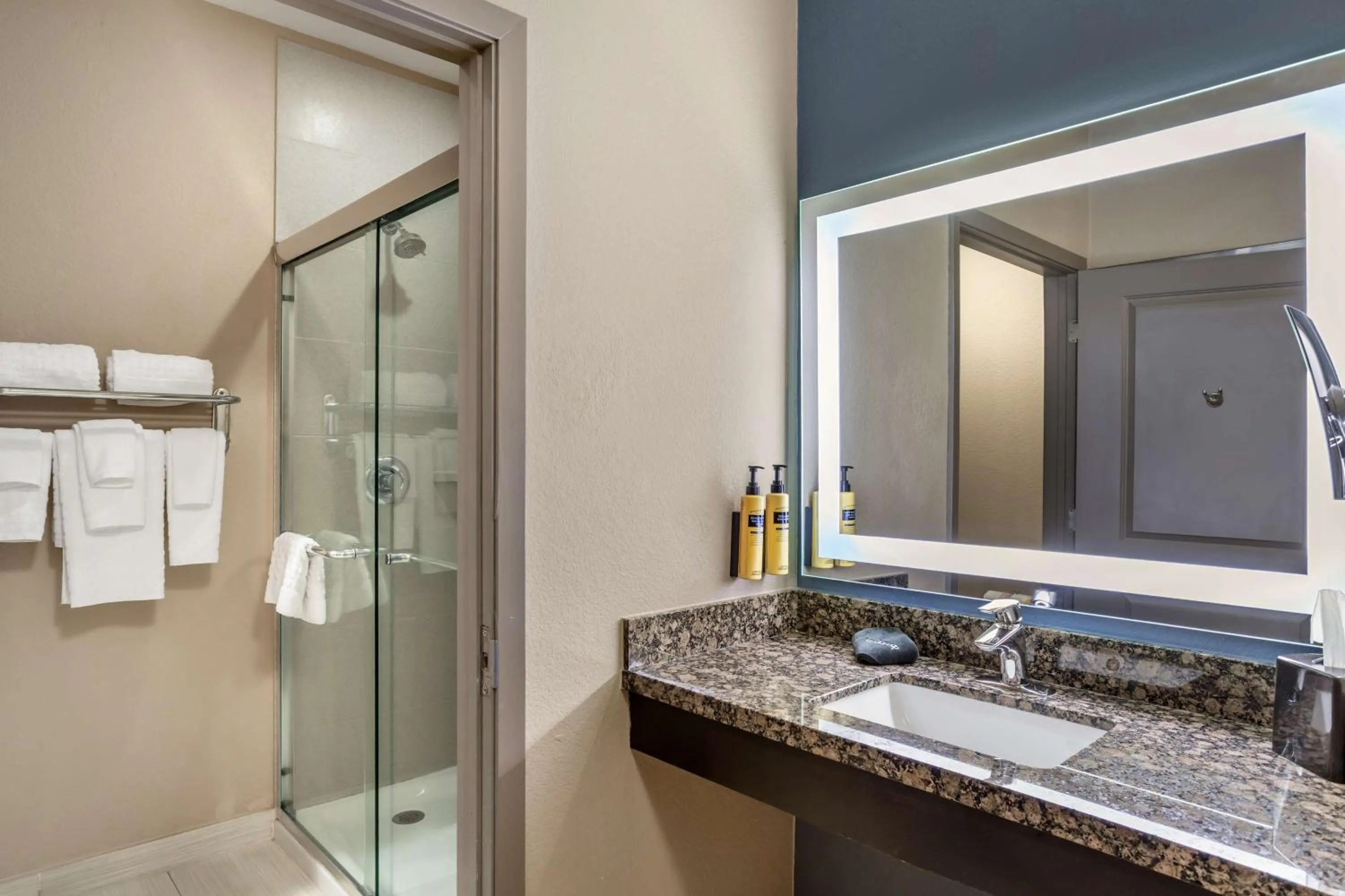 Bathroom in Best Western Plus Lake Jackson Inn & Suites