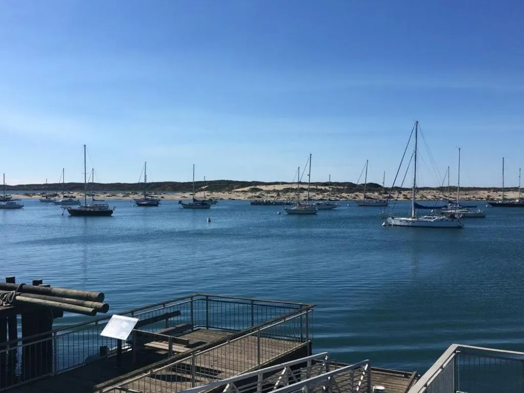 View (from property/room) in Estero Inn