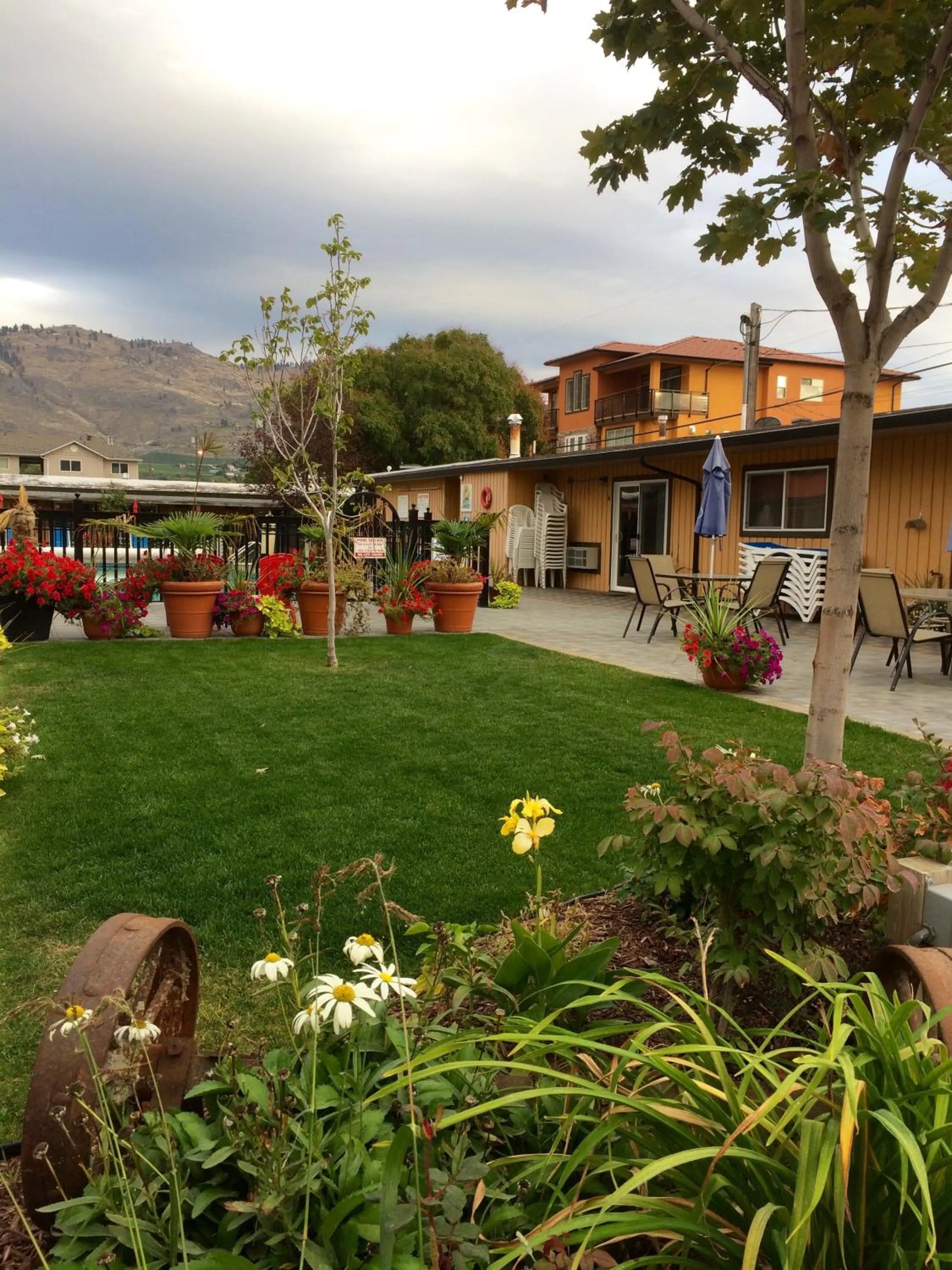 Property building in Sahara Suites