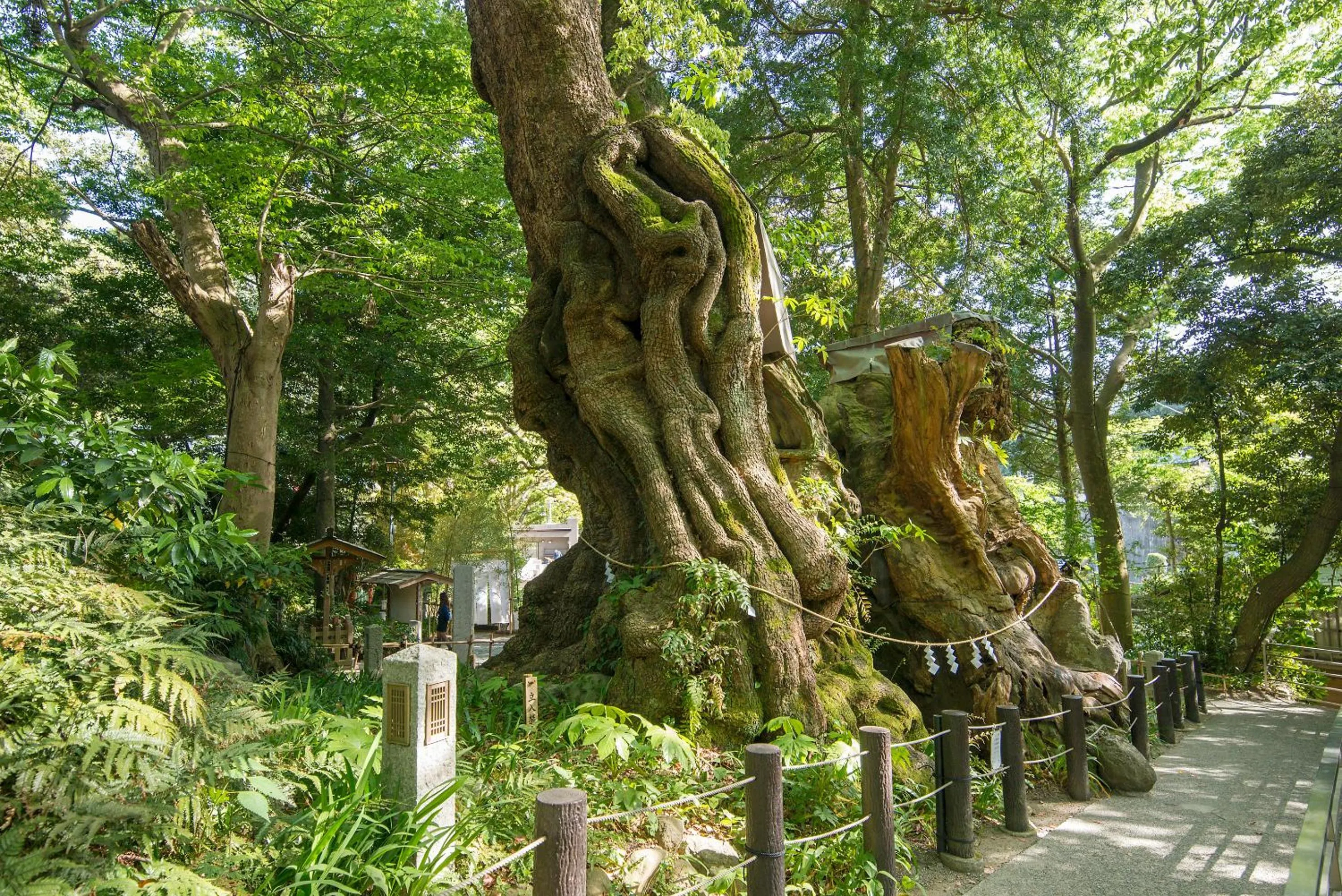 Nearby landmark in Lectore Atami Koarashi - TKP Hotels & Resorts