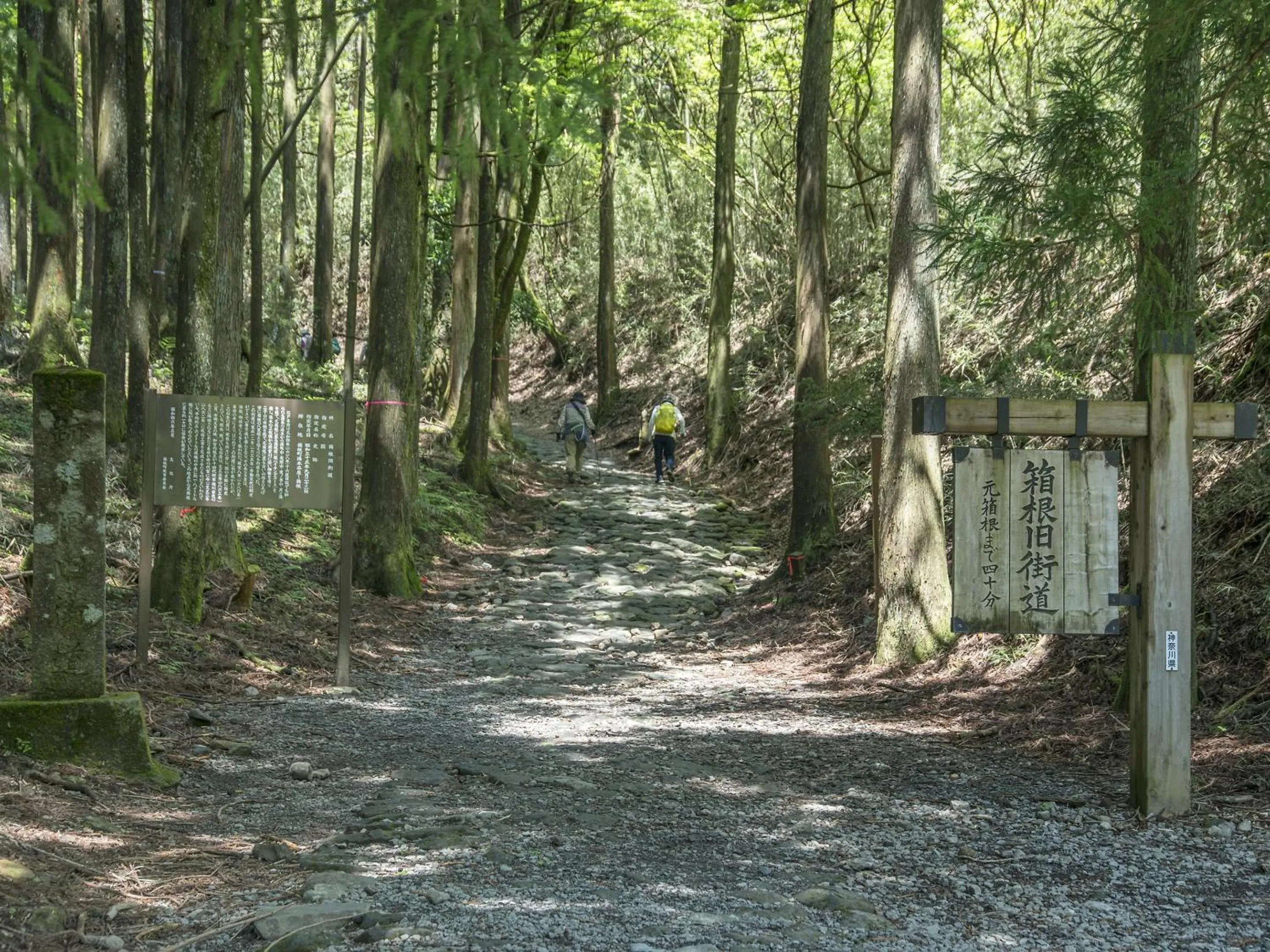 Nearby landmark in TKP Lectore Hakone Gora