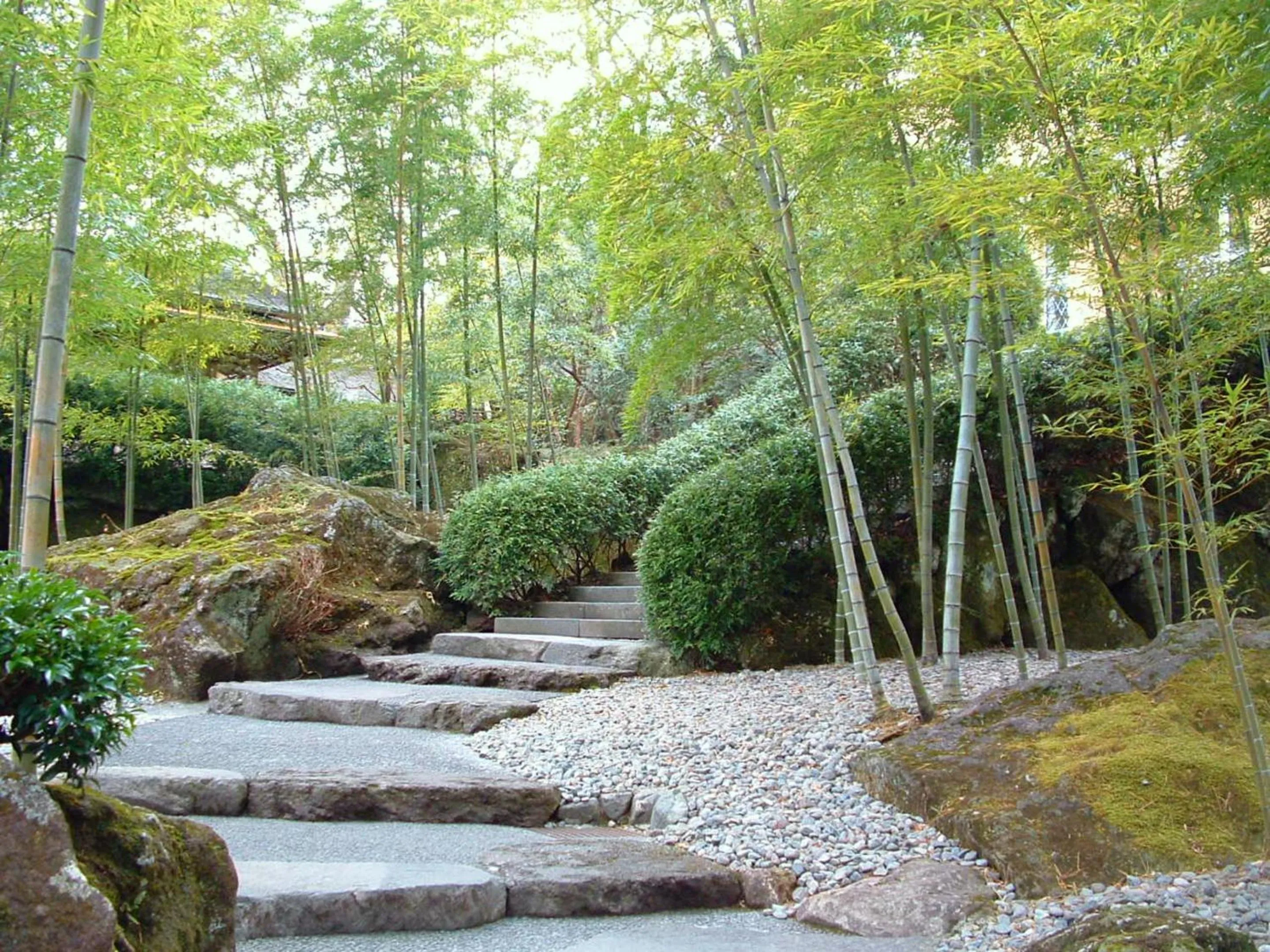 Nearby landmark in TKP Lectore Hakone Gora