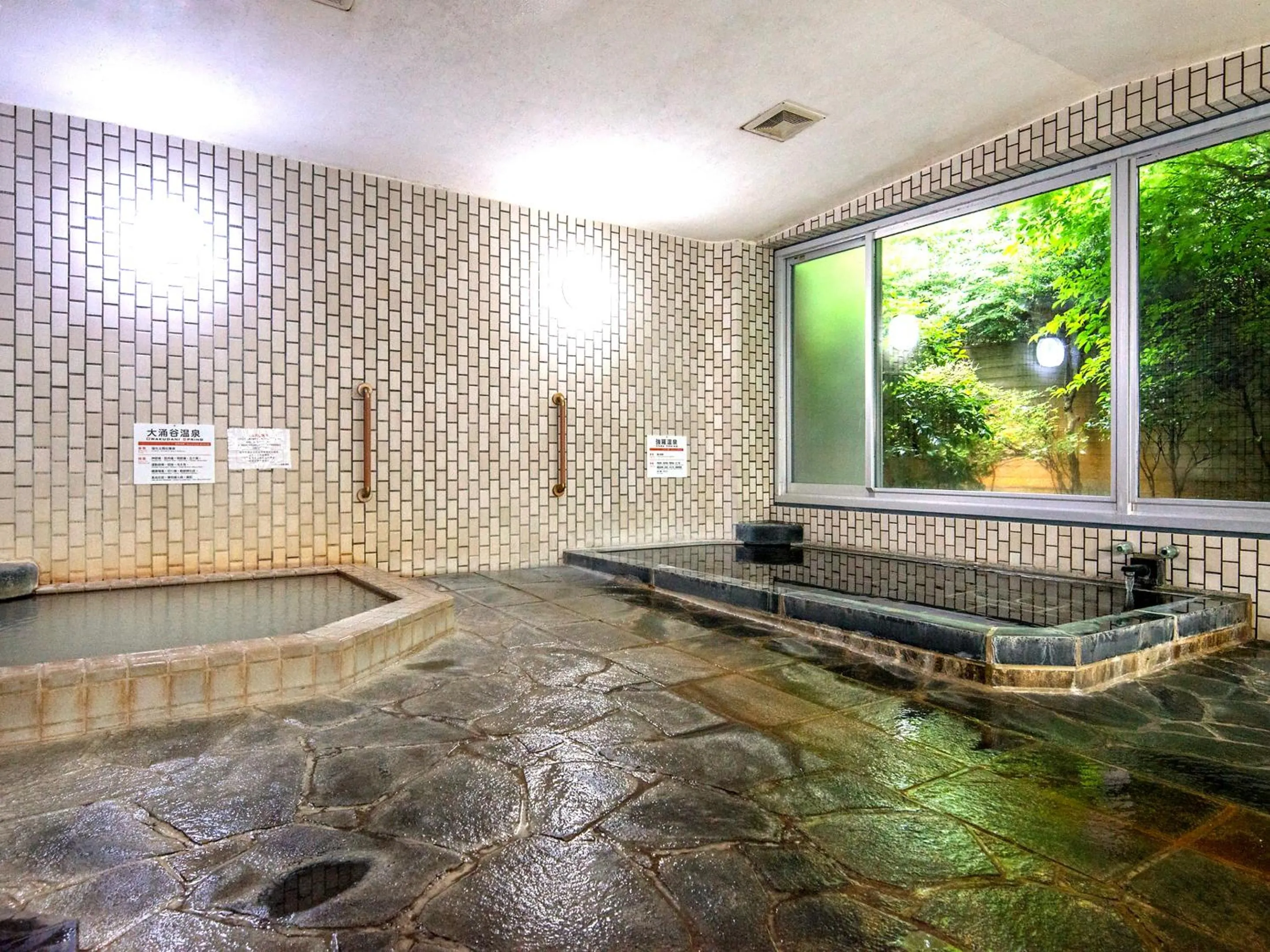 Public Bath in TKP Lectore Hakone Gora