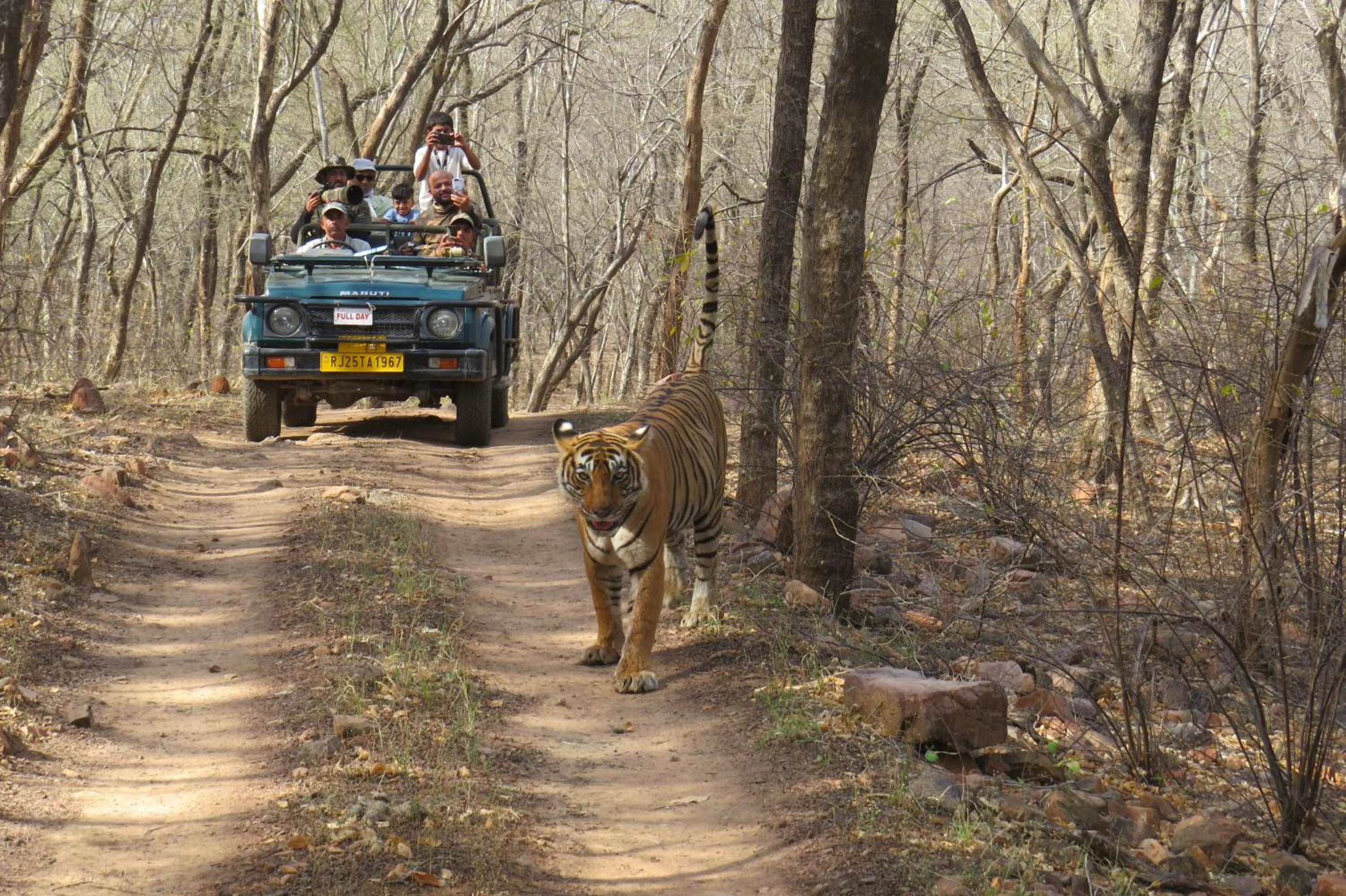 People in Rajputana Heritage