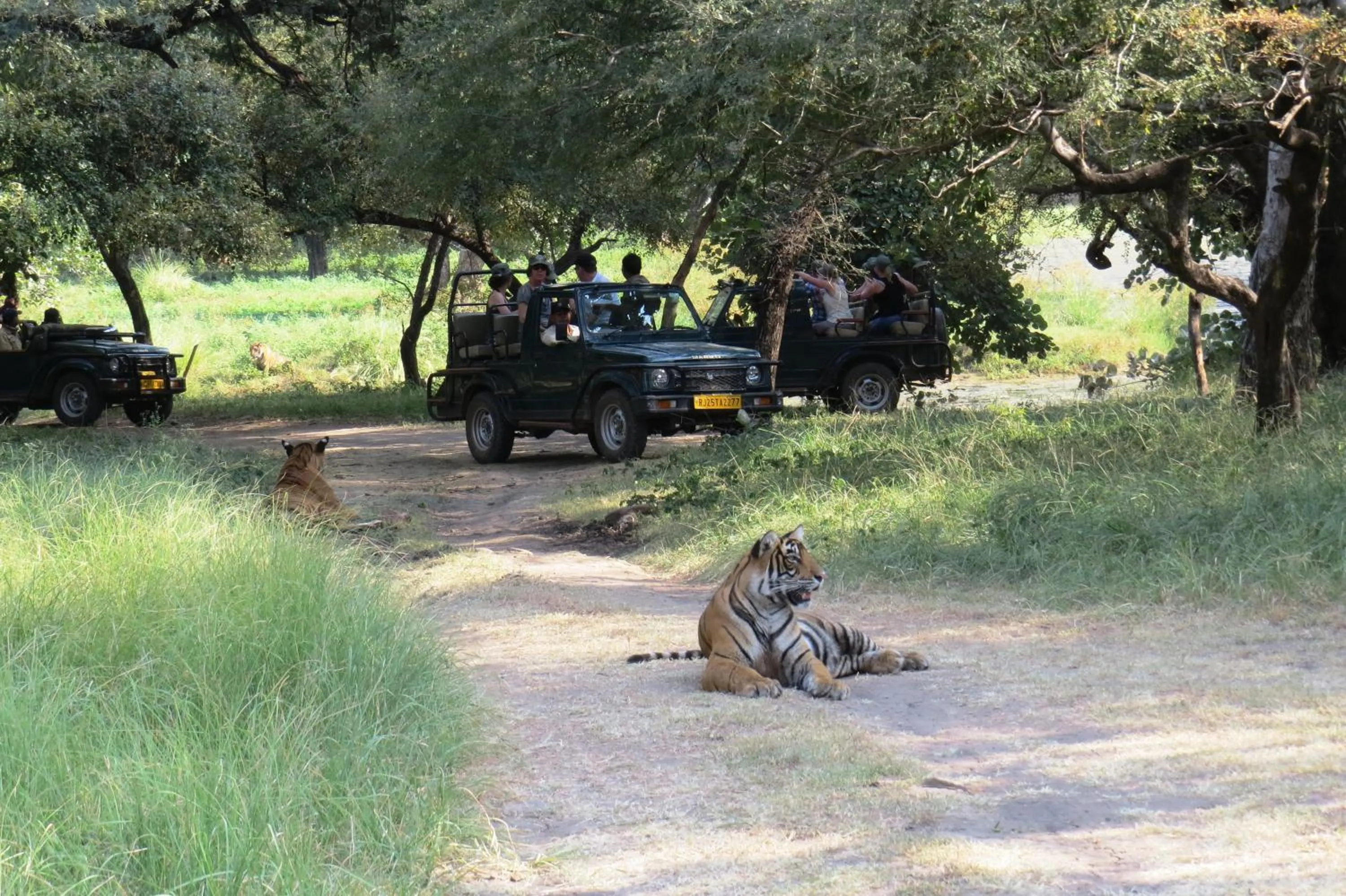 Natural landscape in Rajputana Heritage