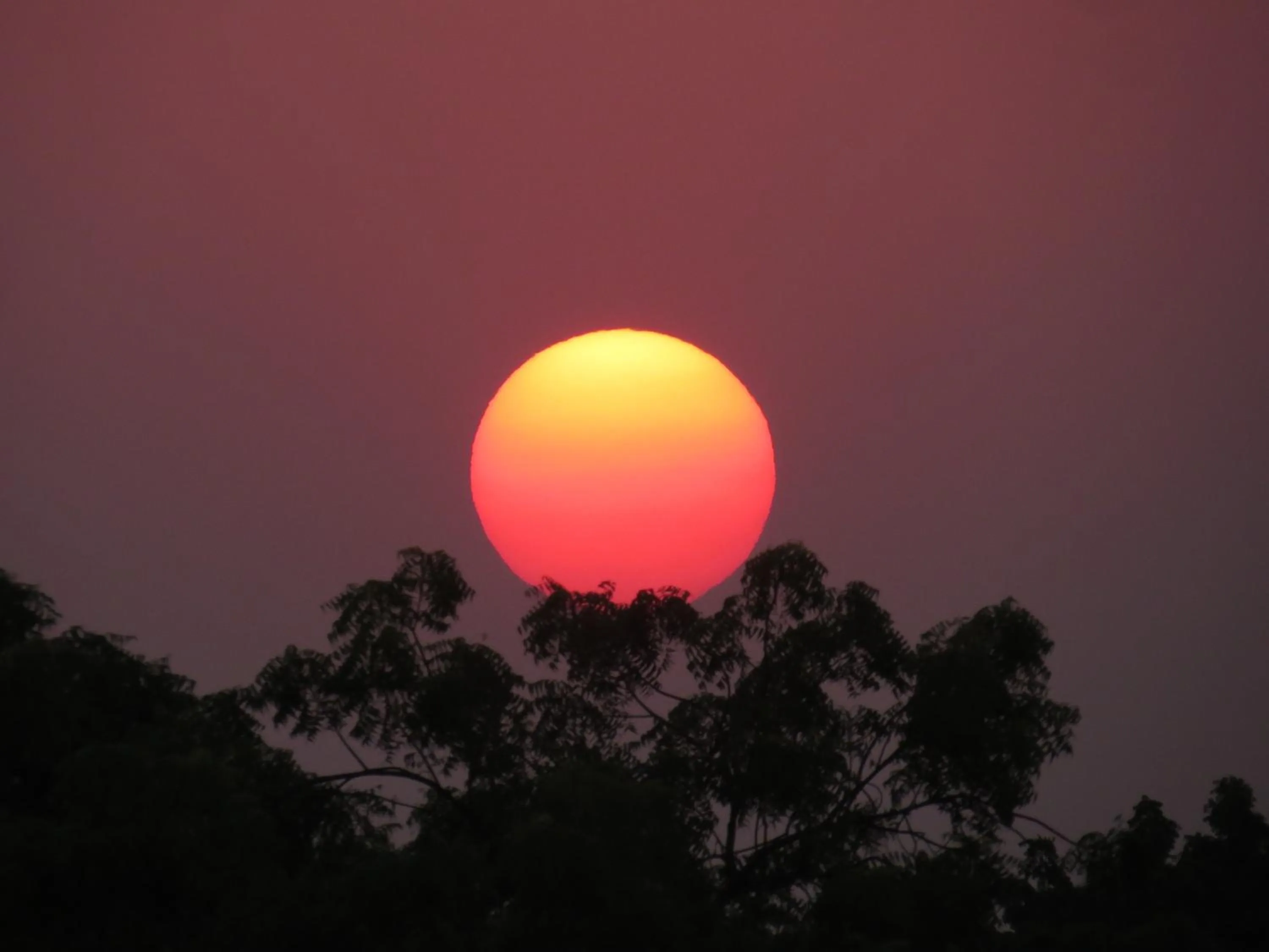 Other in Rajputana Heritage