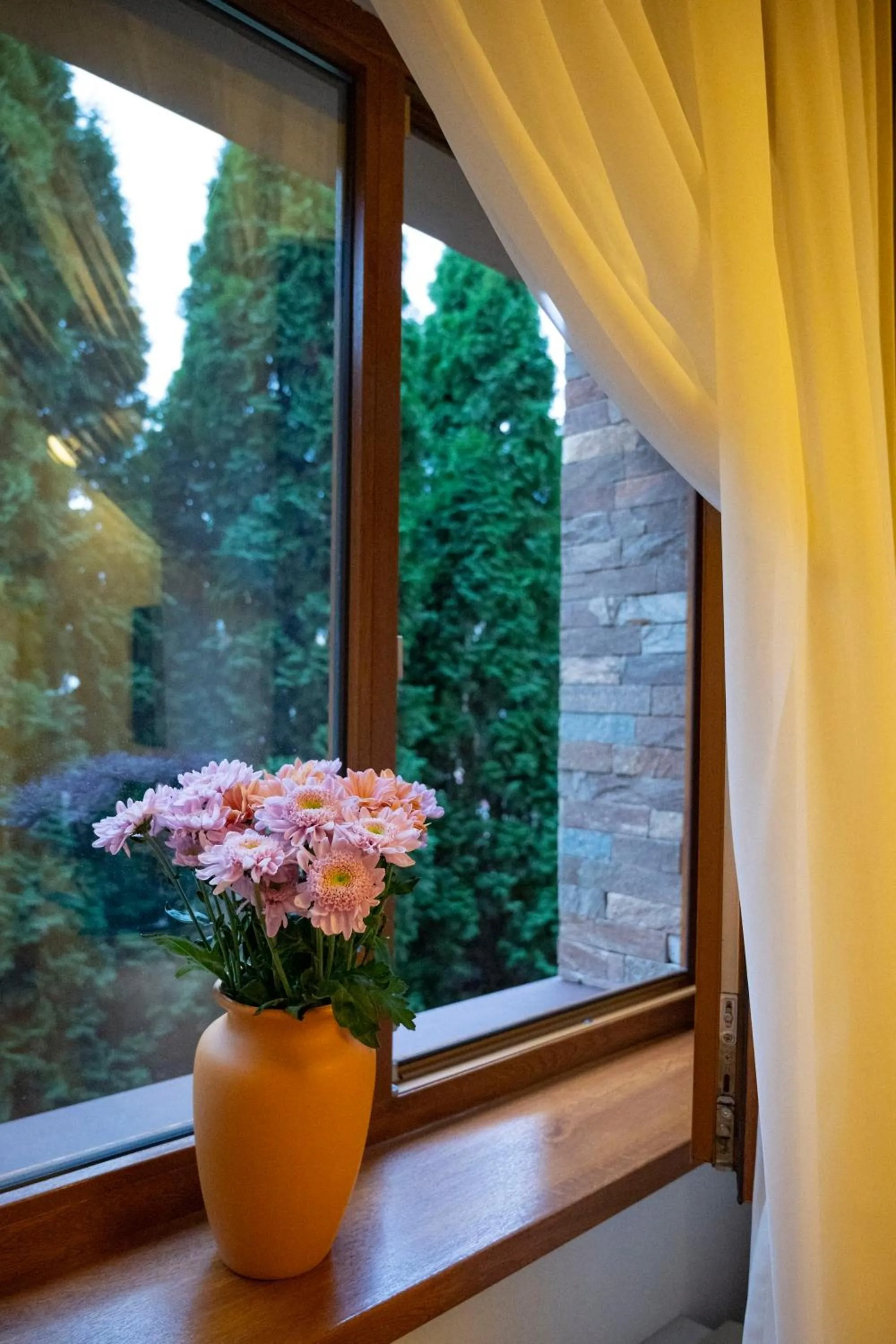 Garden view in Hotel Bohemia