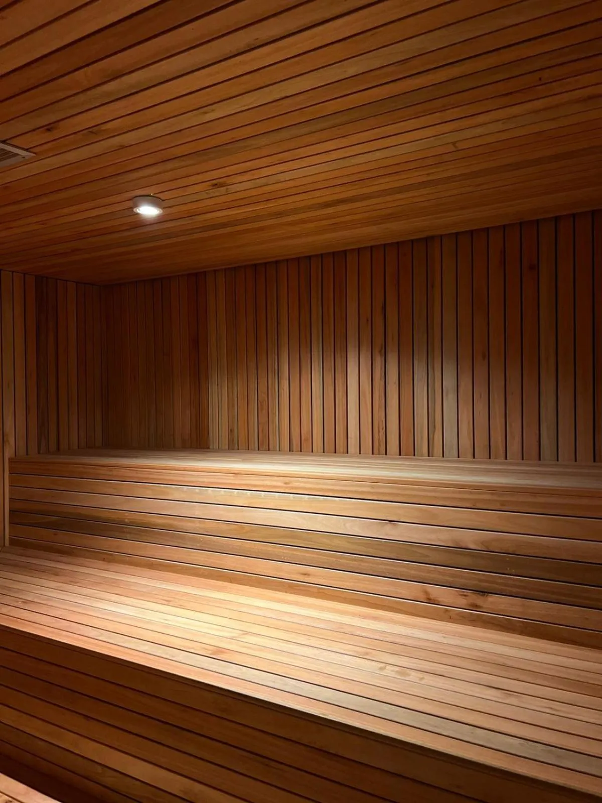 Sauna in Radisson Blu Bariloche