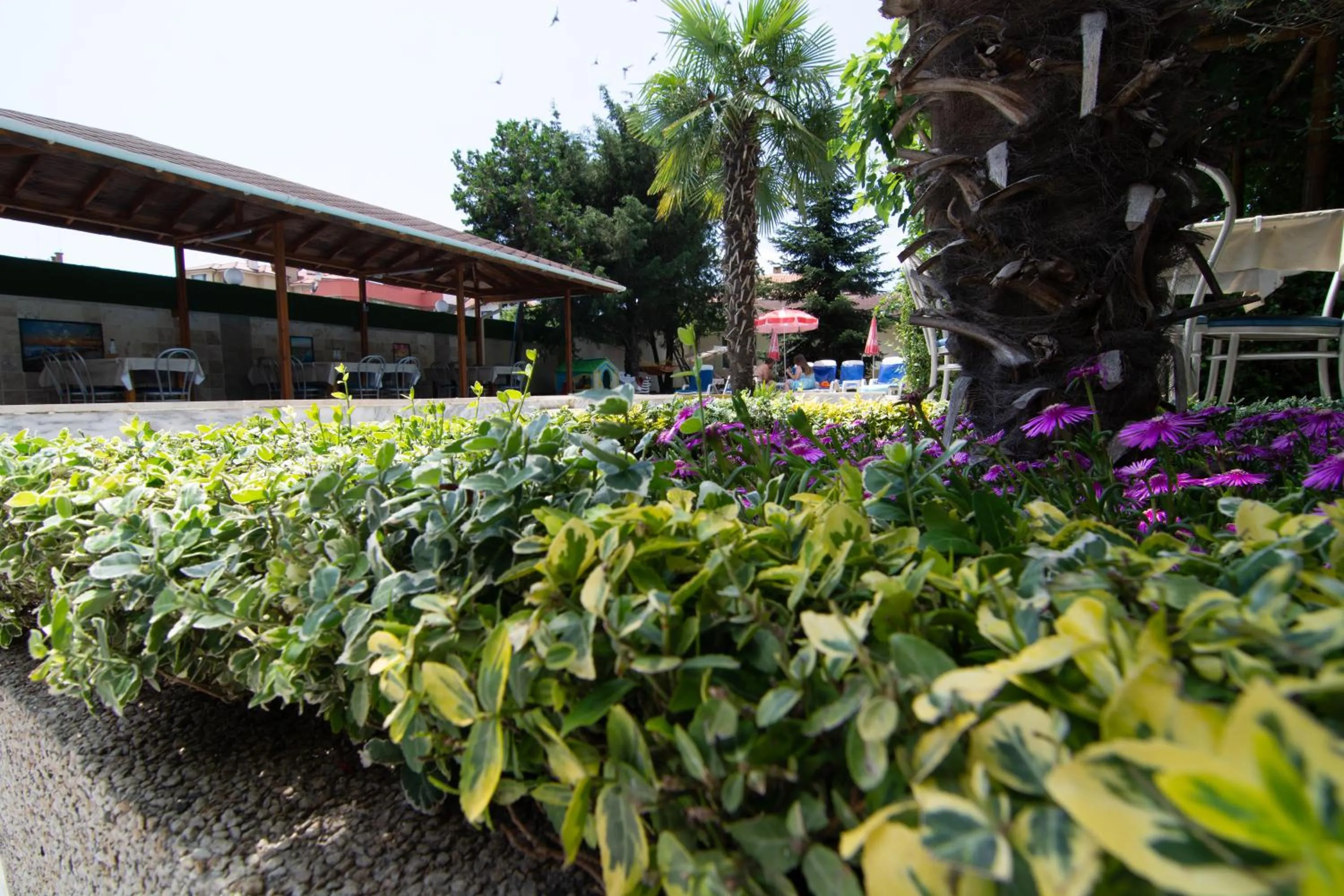 Property building in Atlantic Complex Ravda