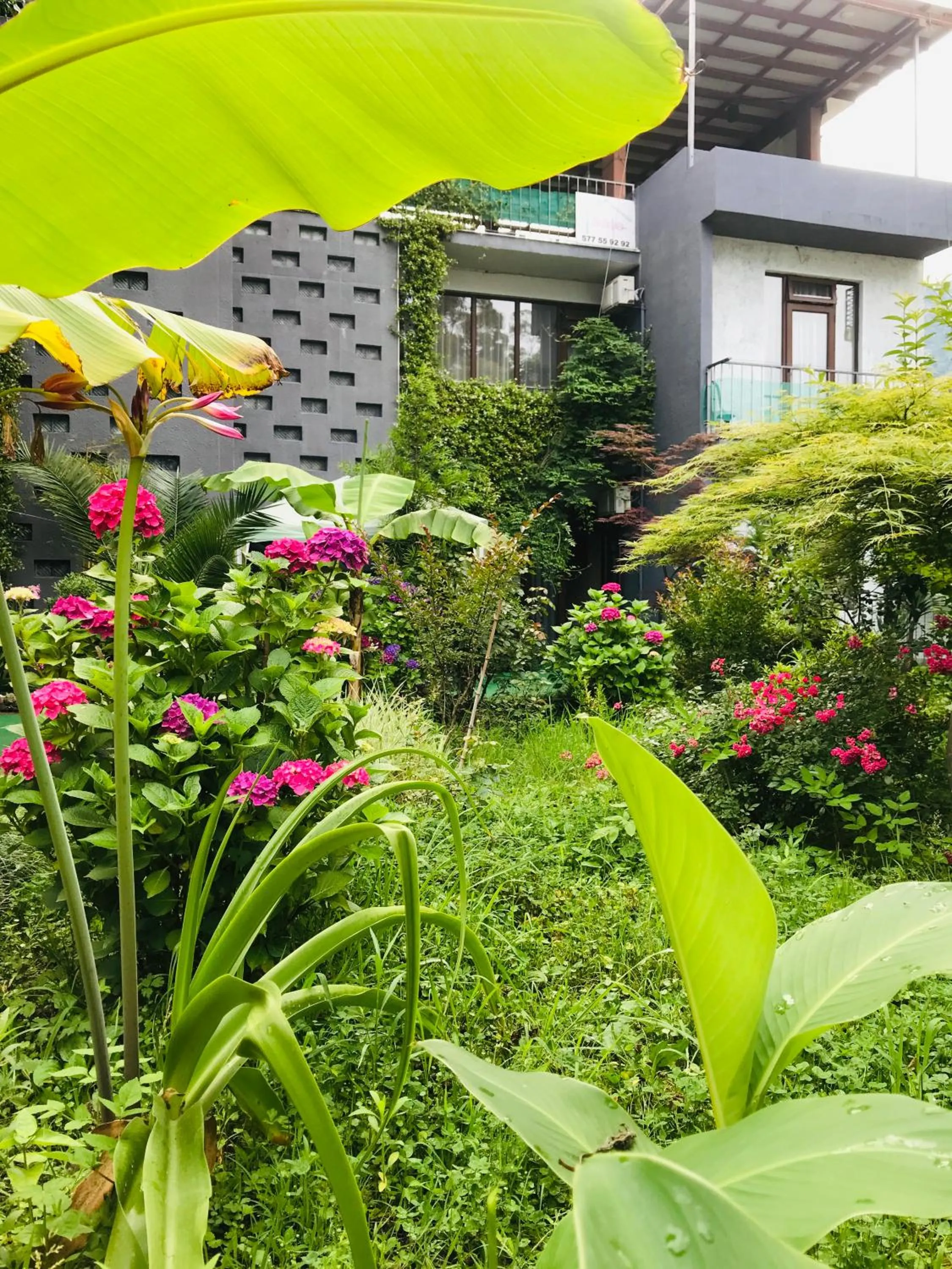 Facade/entrance in Villa Del Mar
