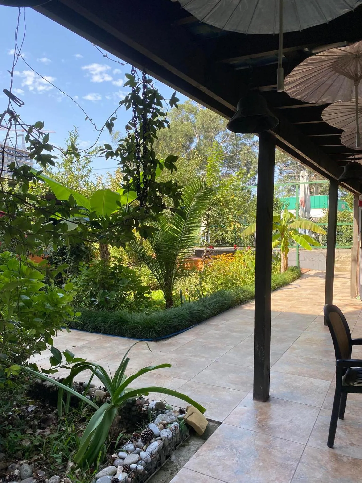 Garden in Villa Del Mar