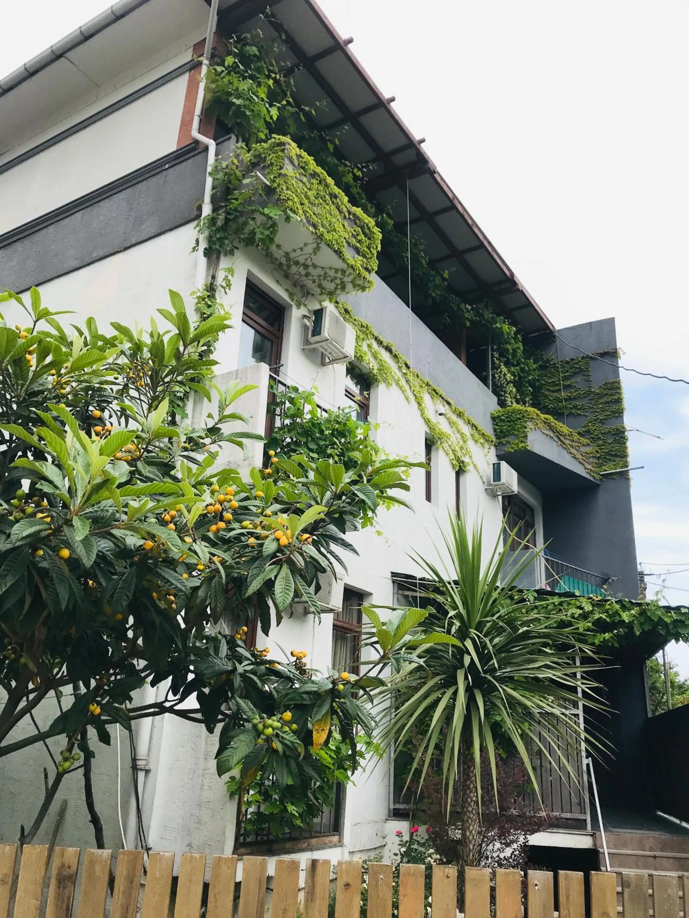 Property building in Villa Del Mar