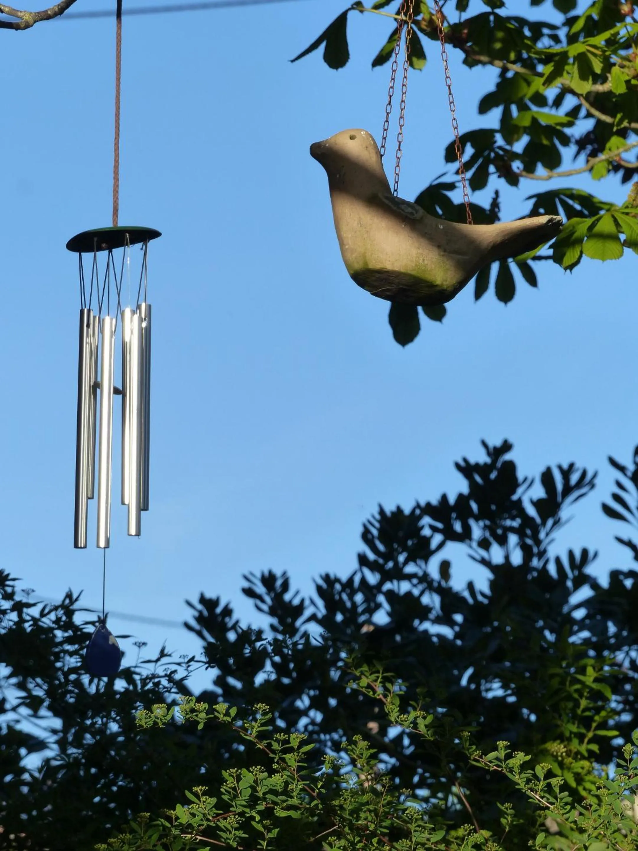 Property building in Absolut Oiseaux