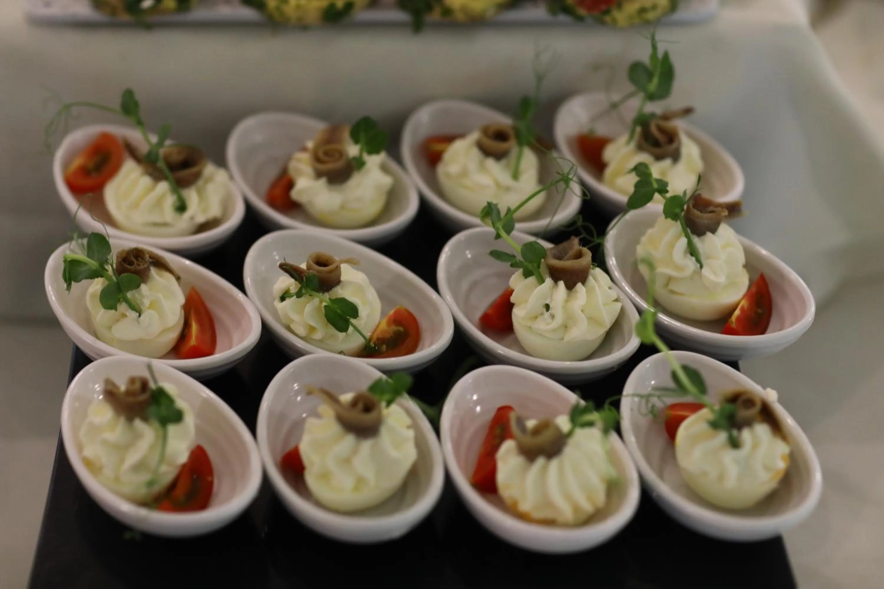 Arena Mar Hotel and SPA