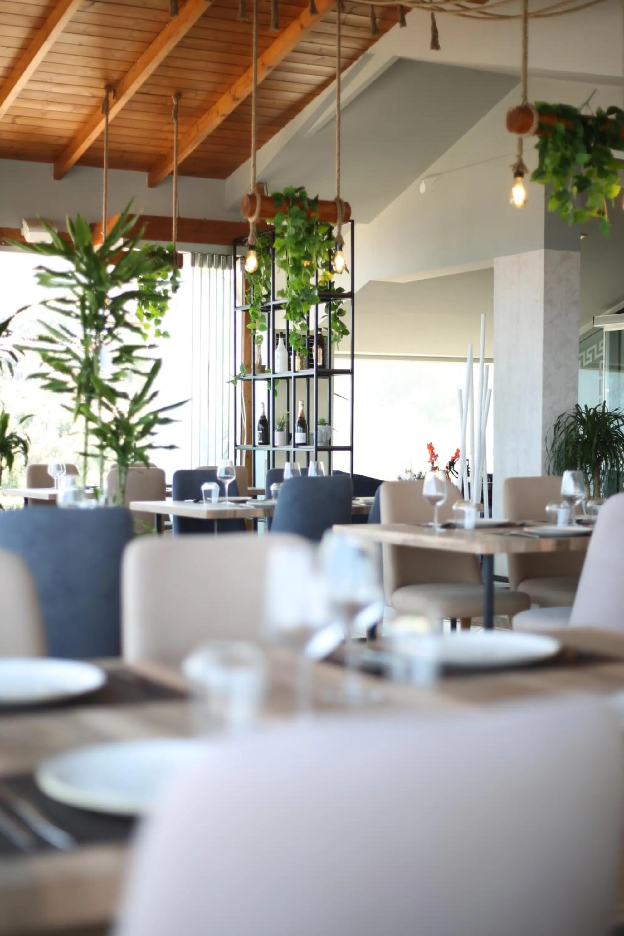 Restaurant/places to eat in Aliko Hotel