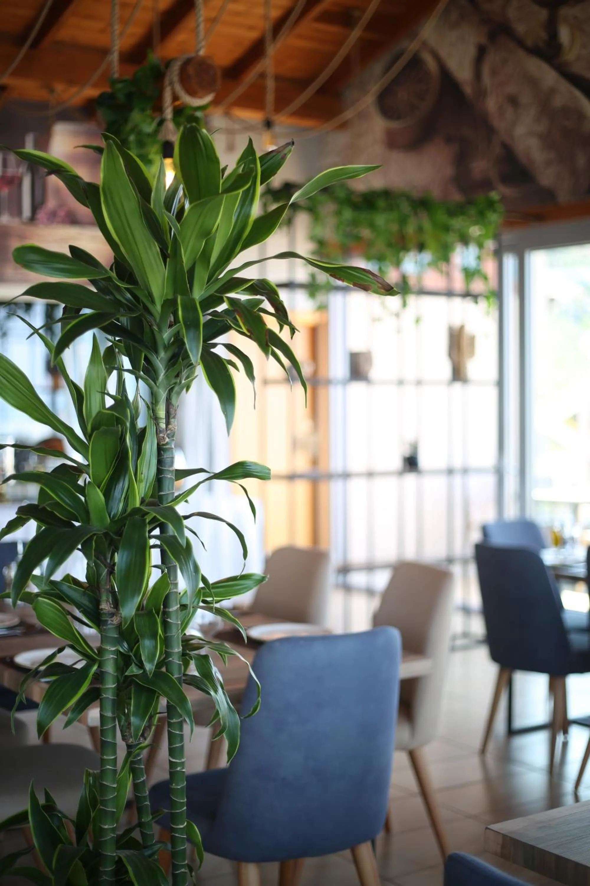 Dining area in Aliko Hotel
