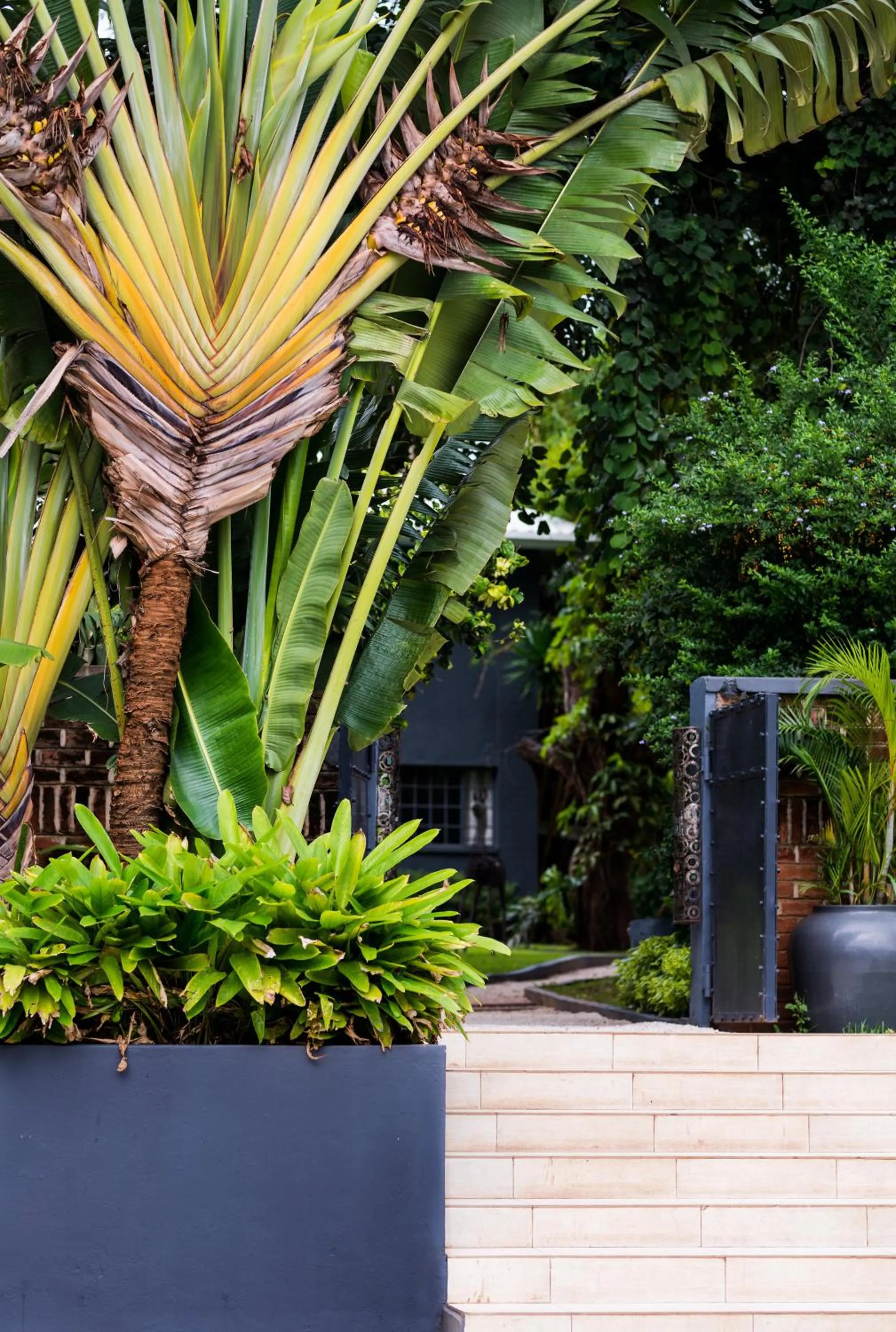 Garden in Latitude 13 Degrees