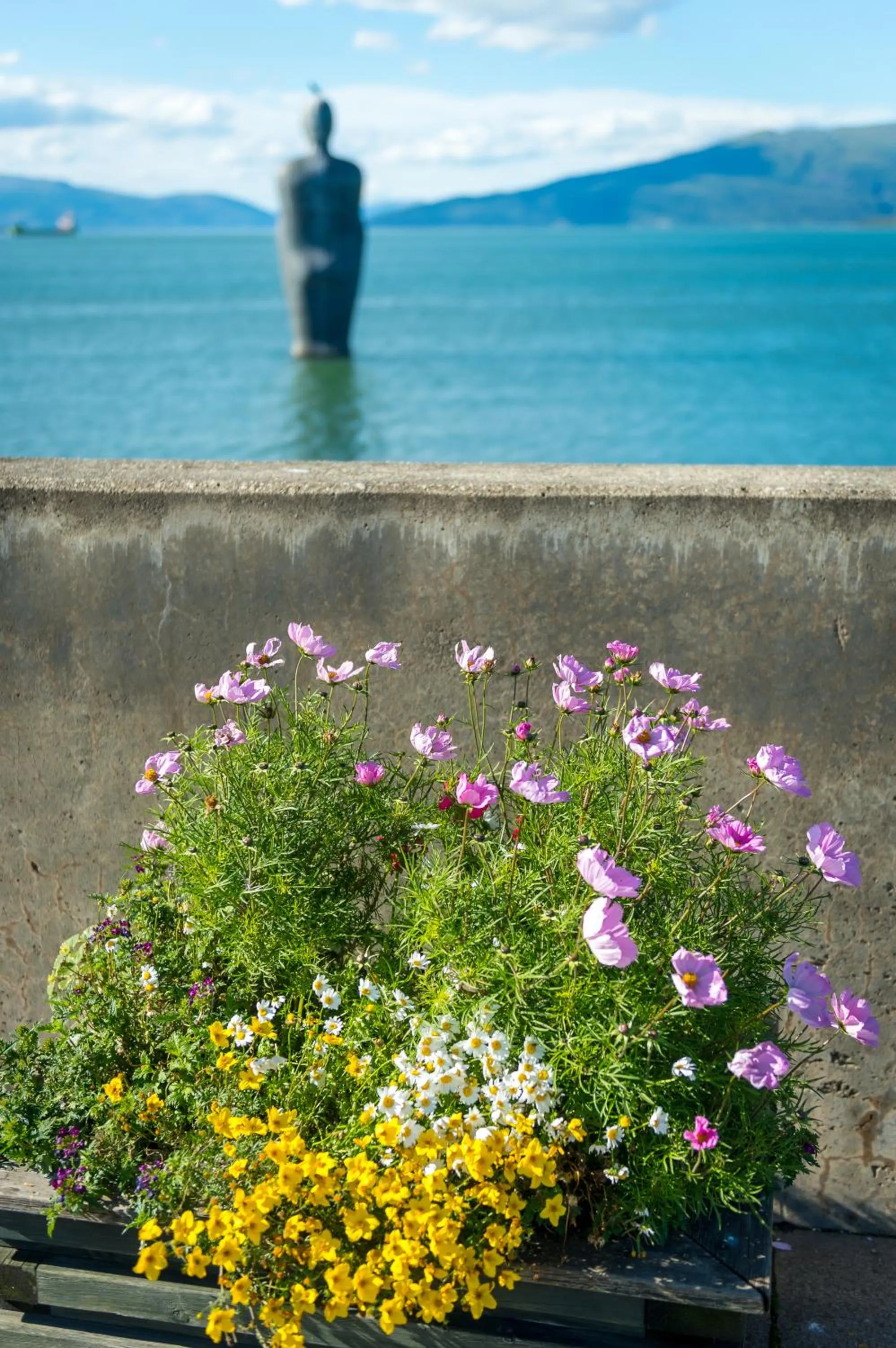 Nearby landmark in Thon Partner Hotel Mo I Rana