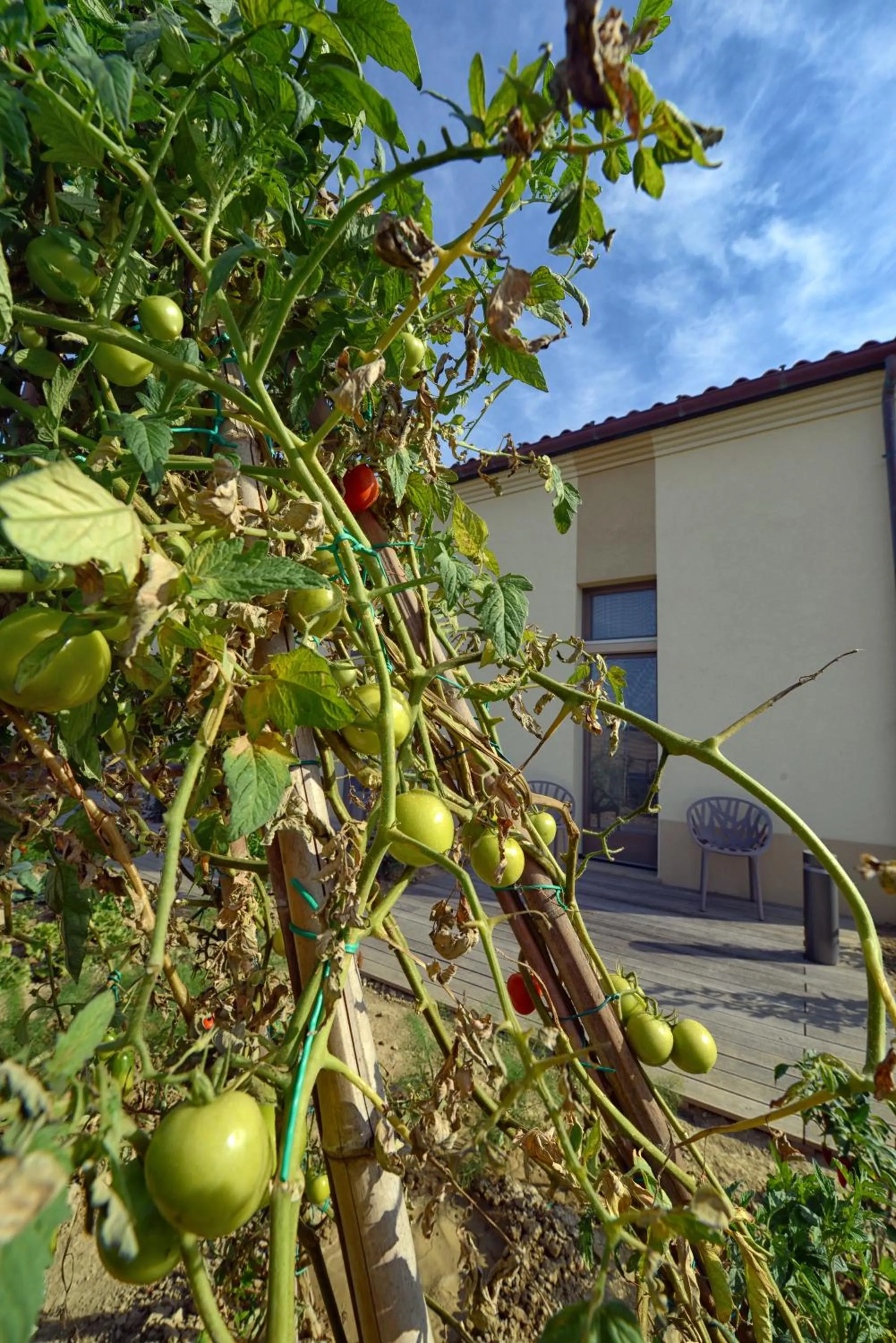 Property building in Resort Il Gallo Senone