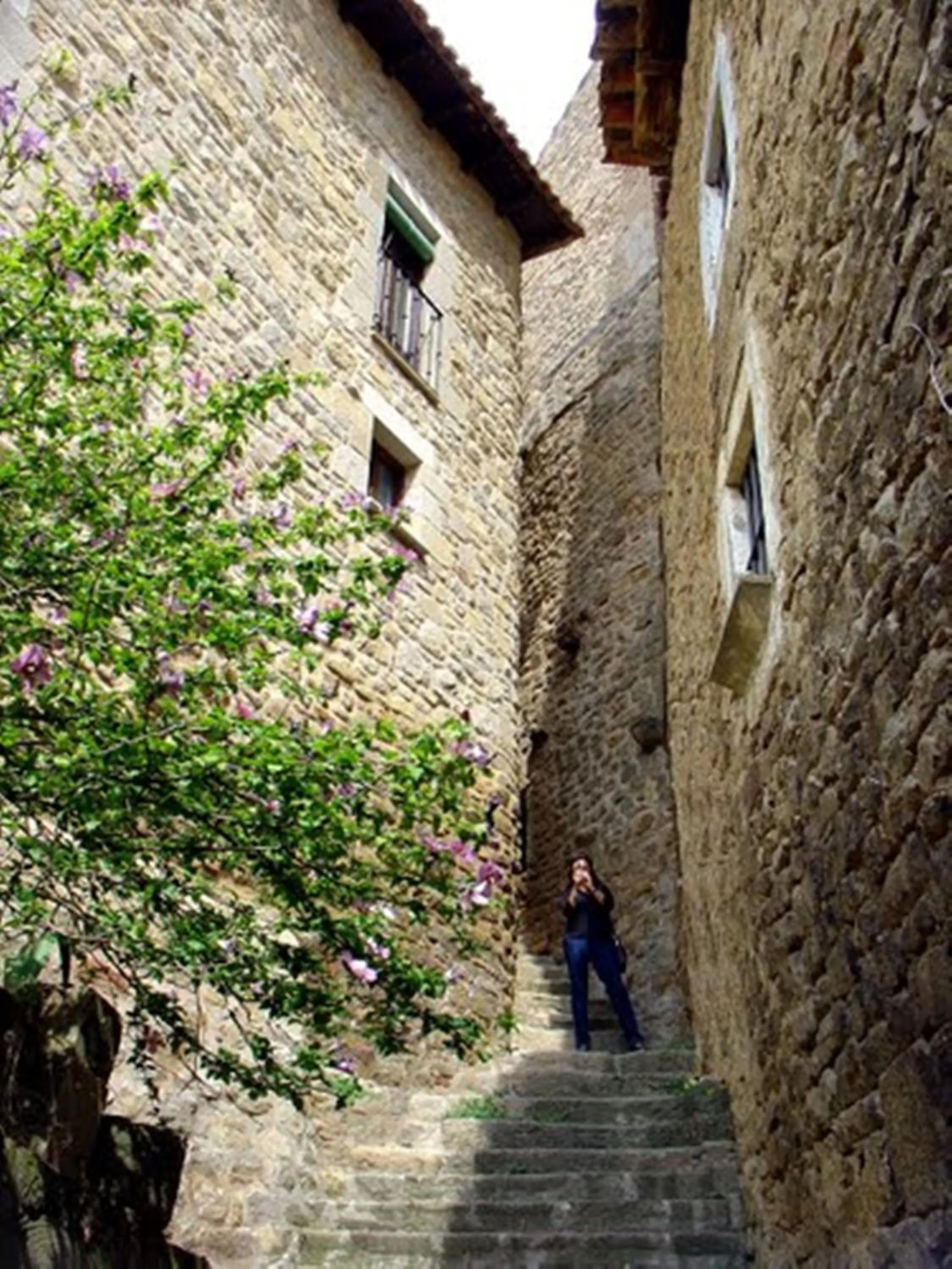 Area and facilities in Parador de Sos del Rey Católico