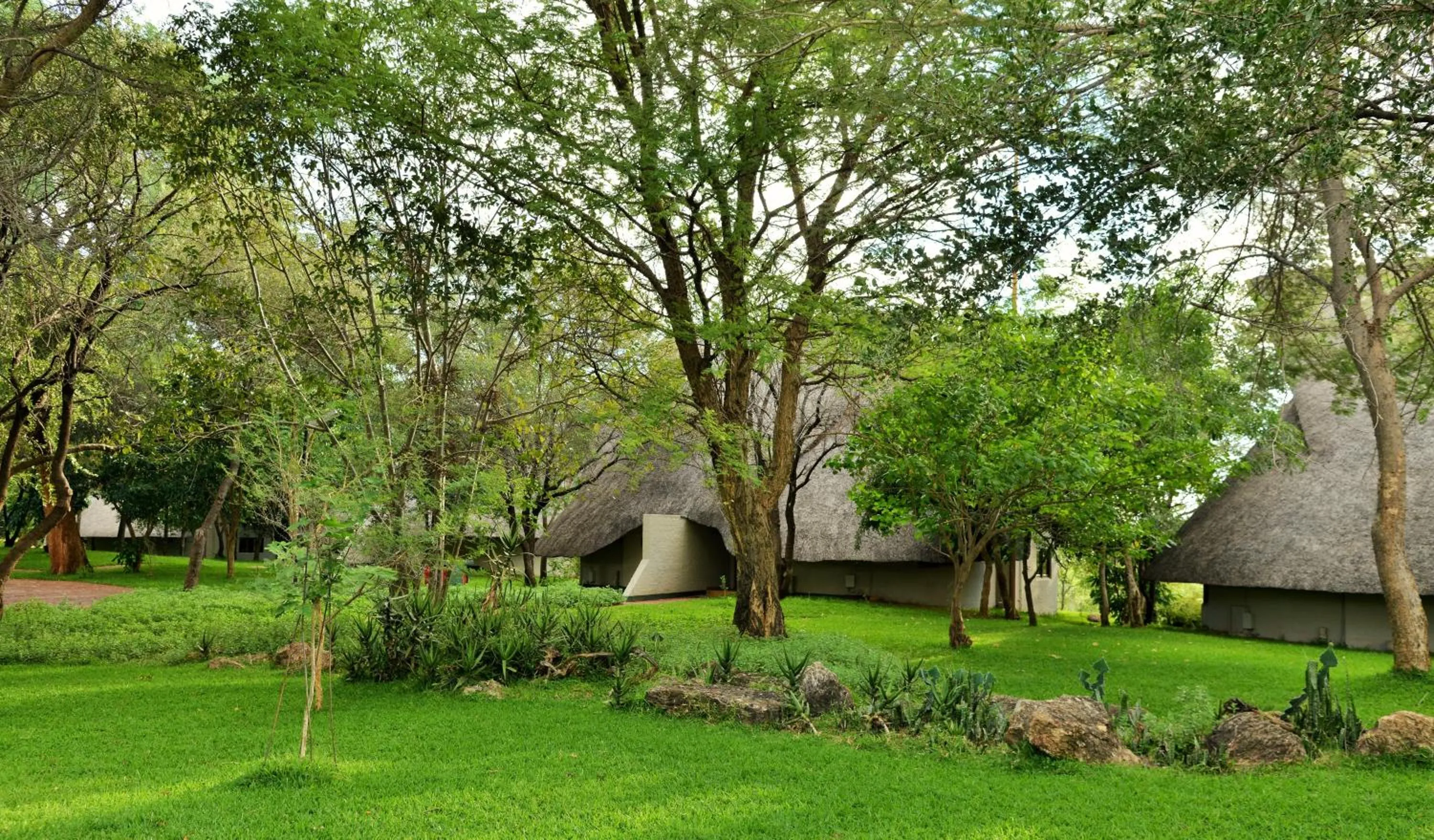 Property building in Victoria Falls Safari Suites