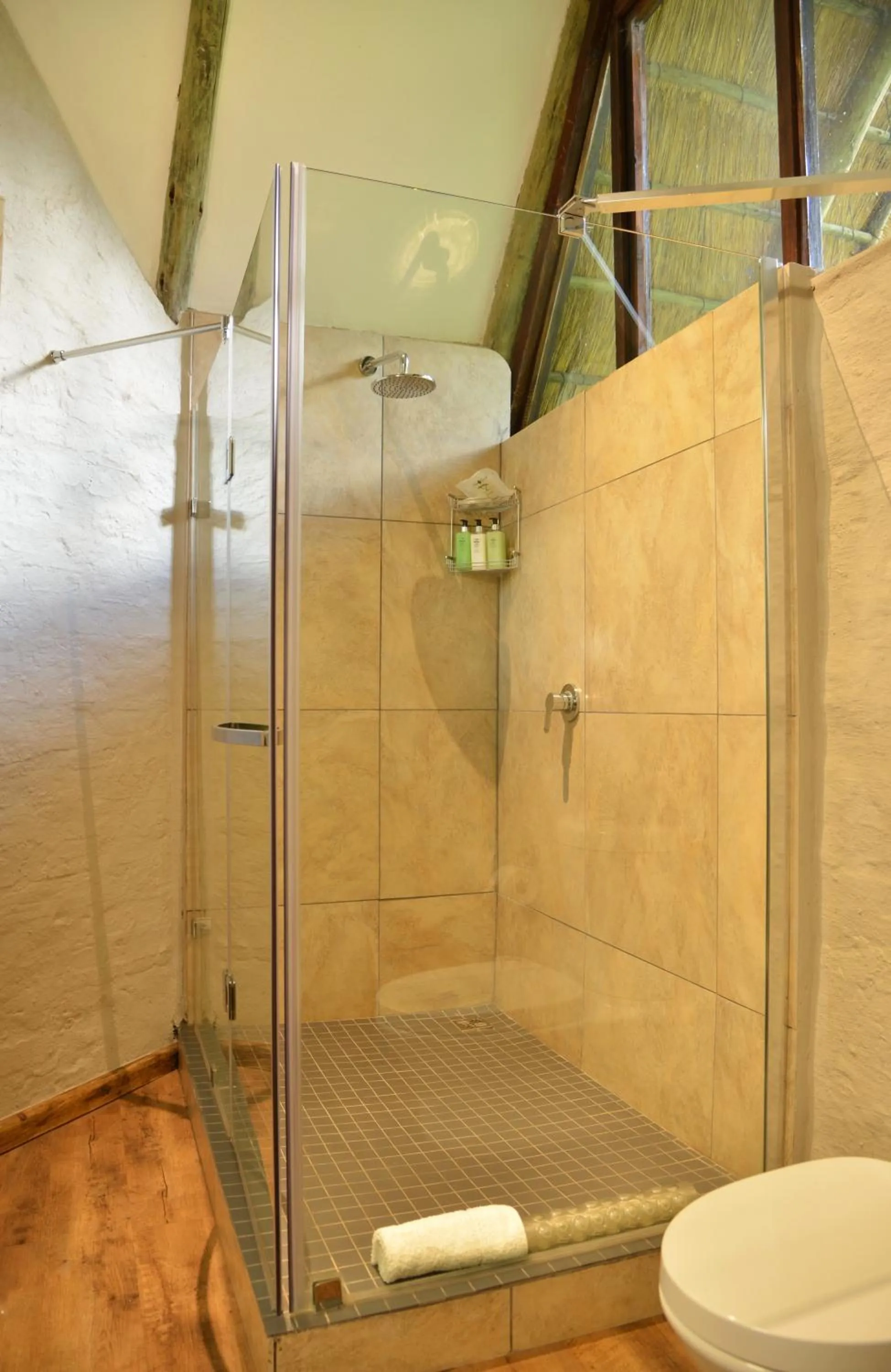 Bathroom in Victoria Falls Safari Suites