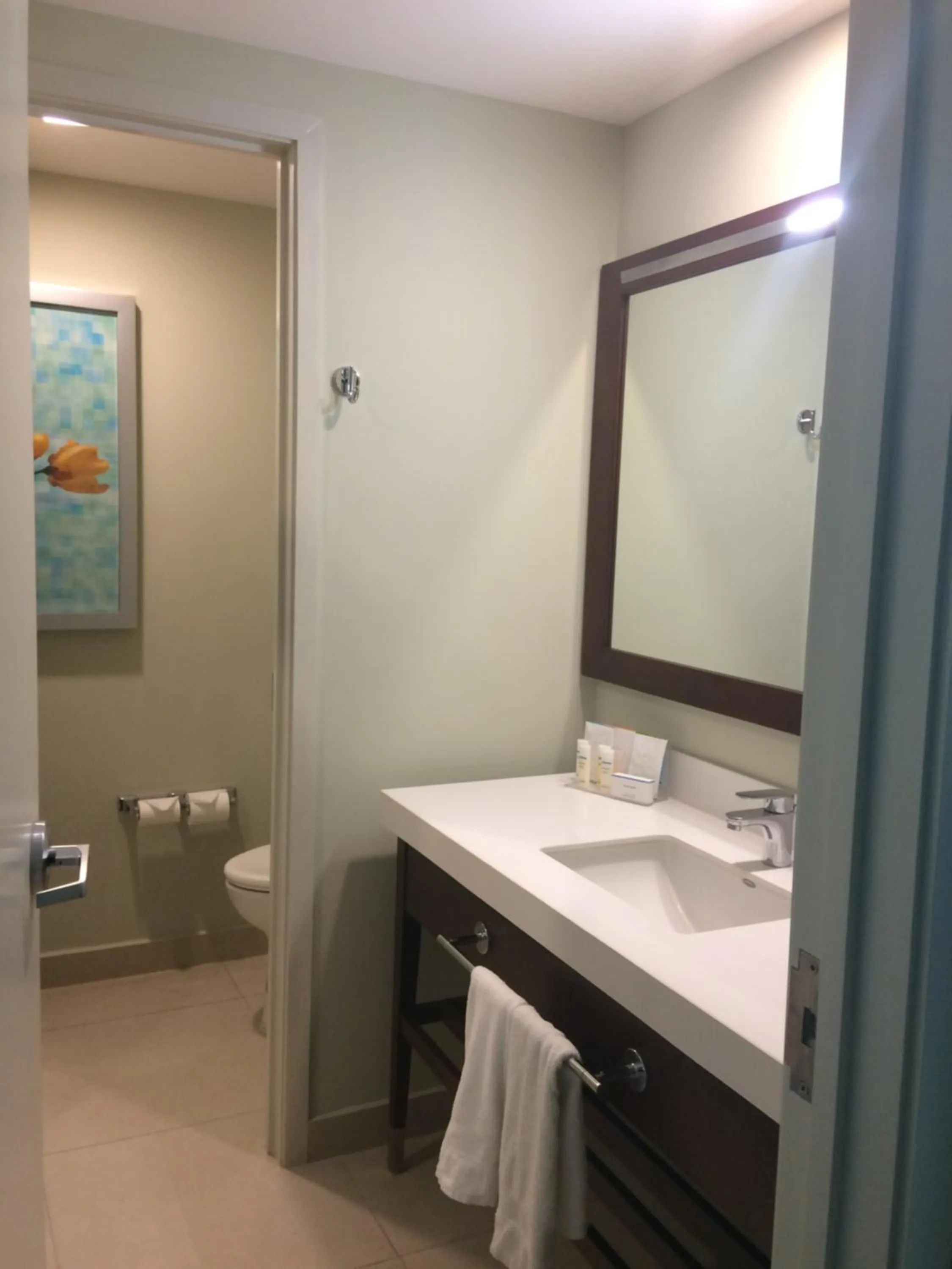 Toilet in Hampton Inn by Hilton Villahermosa