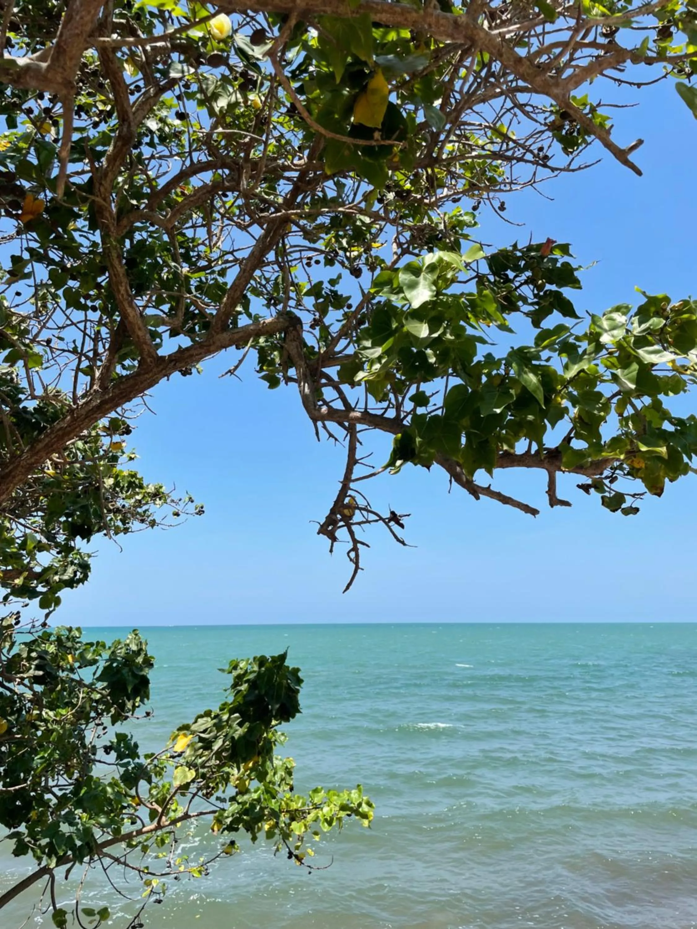 Day in Casa Inés Tolú