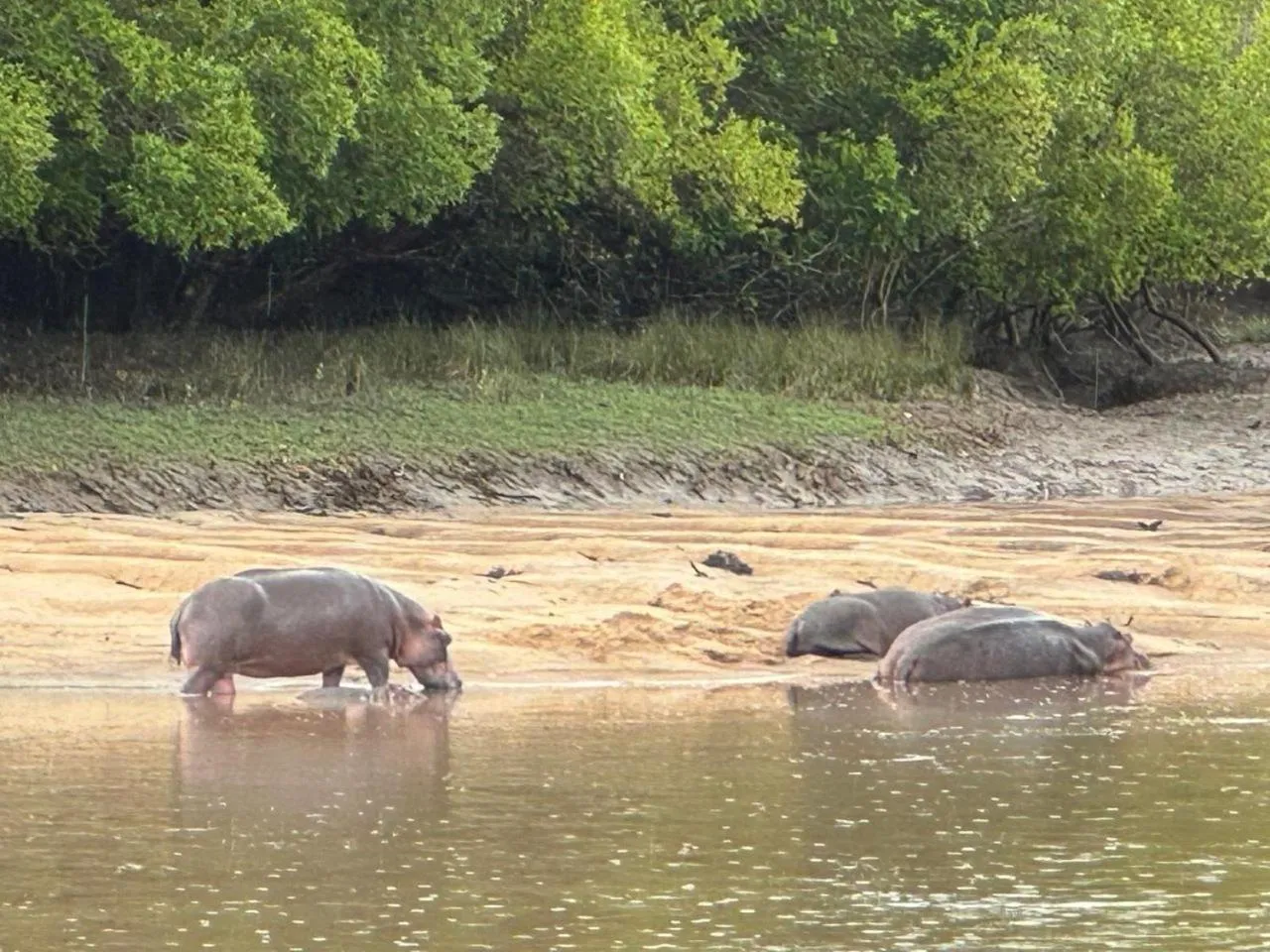 Property building in Barry's Beach Resort