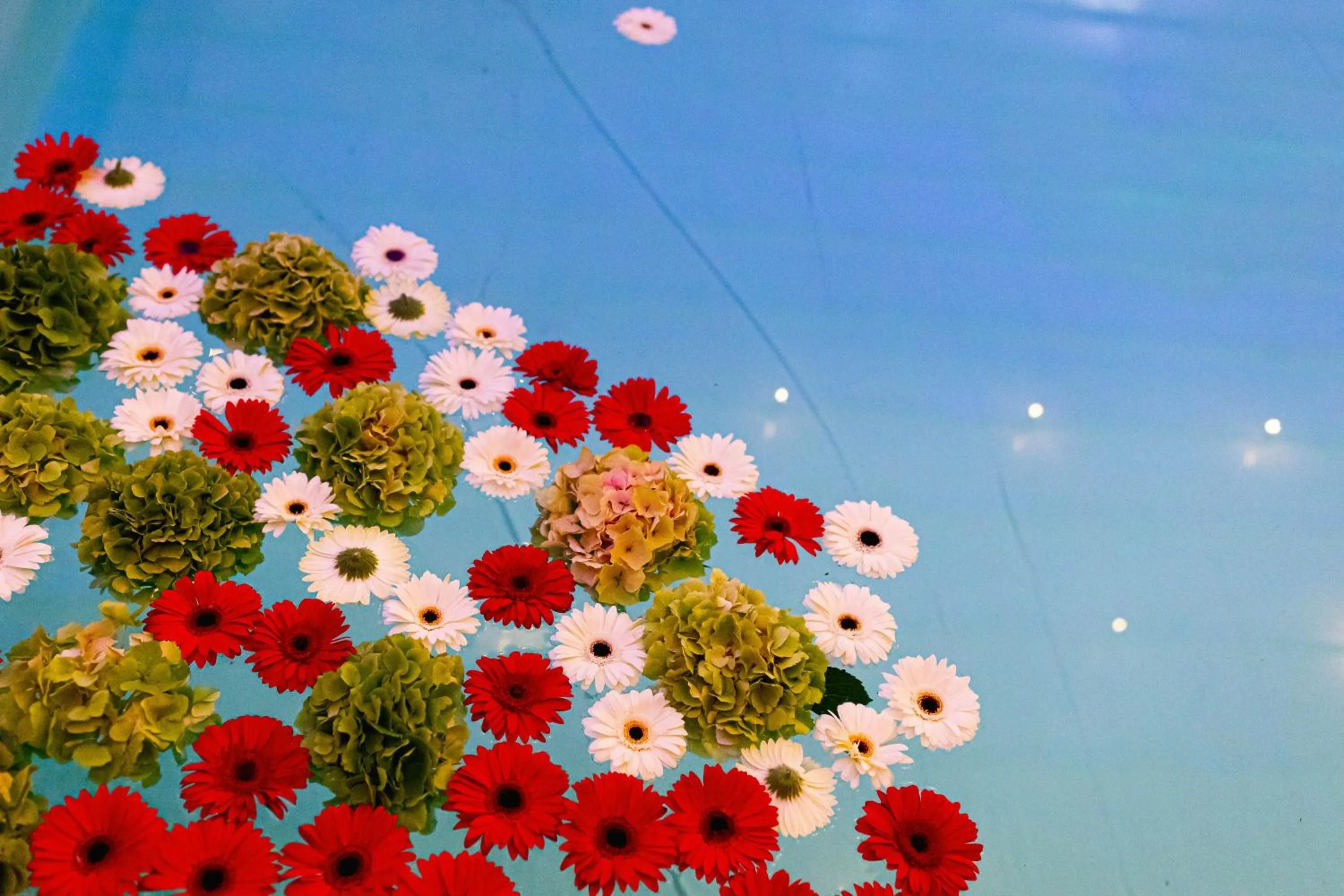 Swimming pool in Rodizio Hill Resort