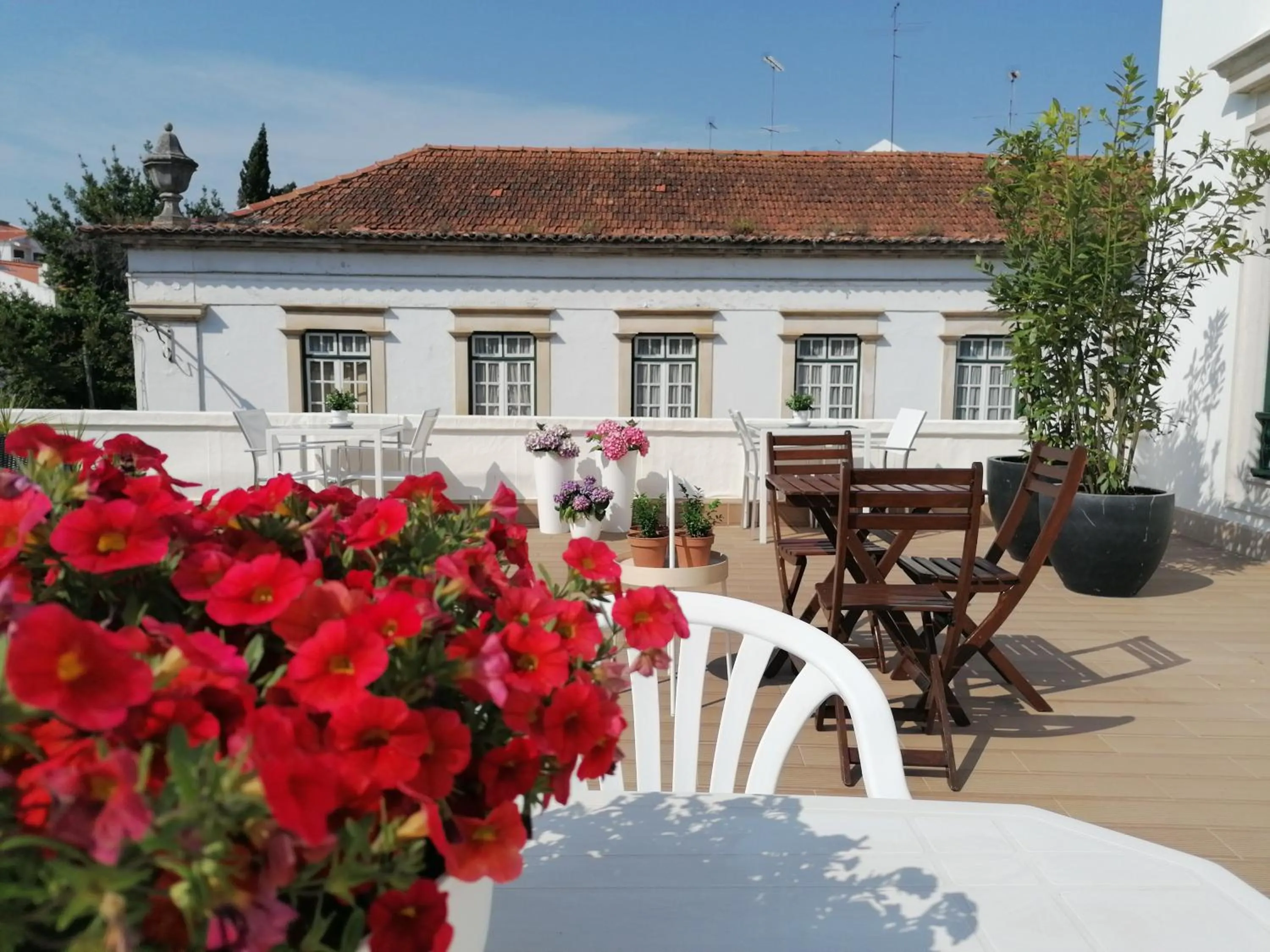 Balcony/Terrace in Hostel Rossio Alcobaça