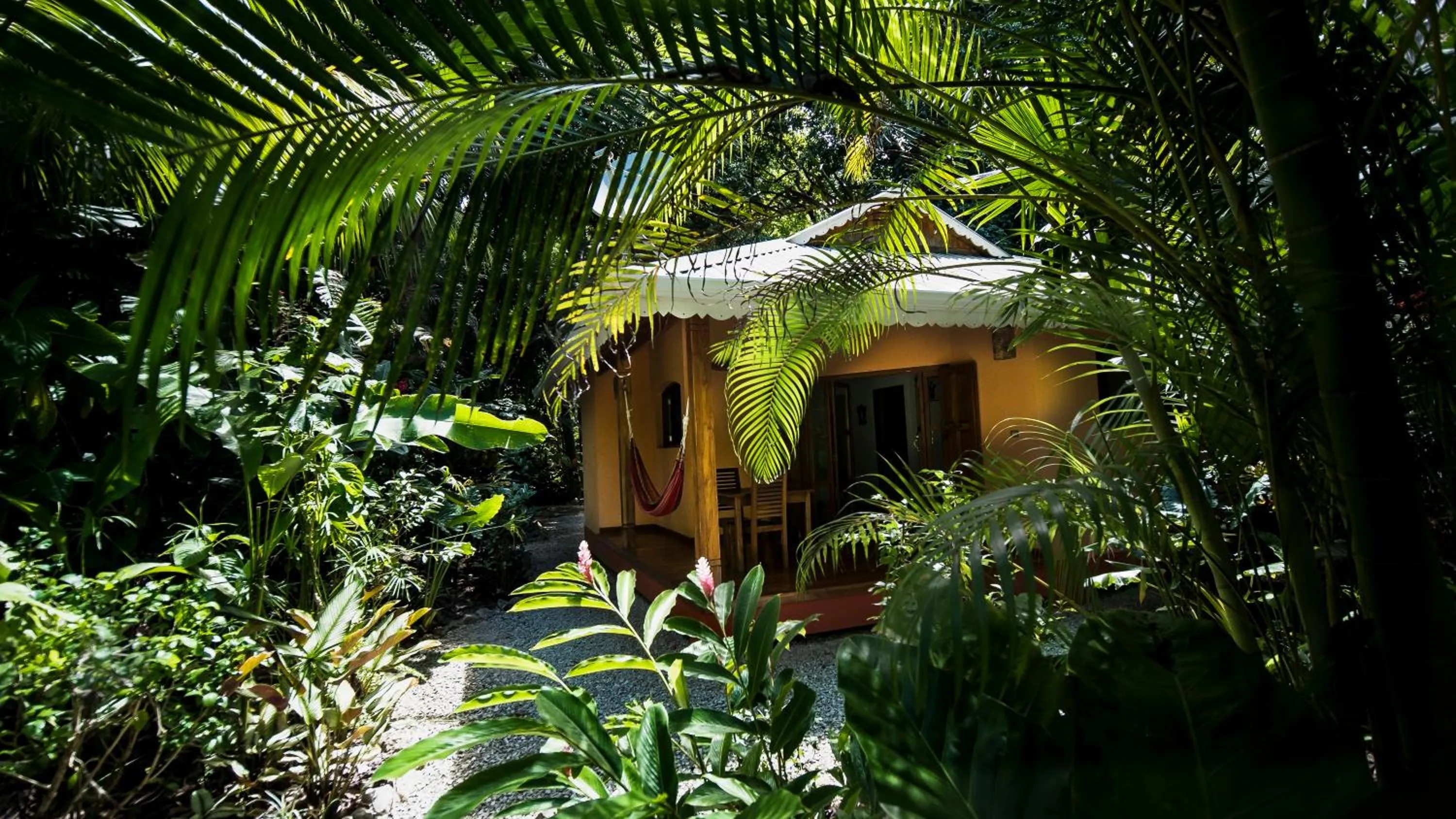 Facade/entrance in Hotel El Pequeño Gecko Verde