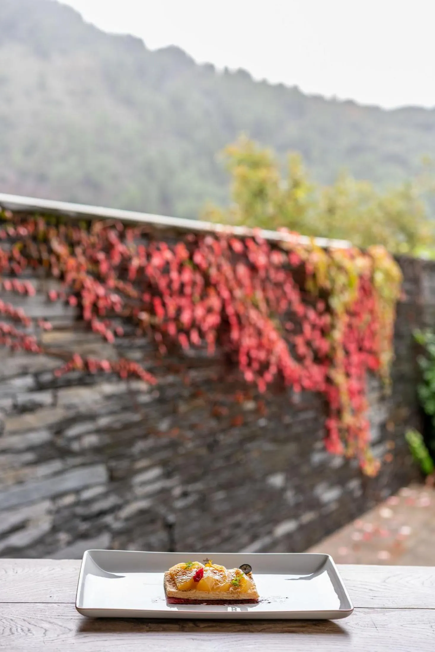 View (from property/room) in Parador de Villafranca del Bierzo