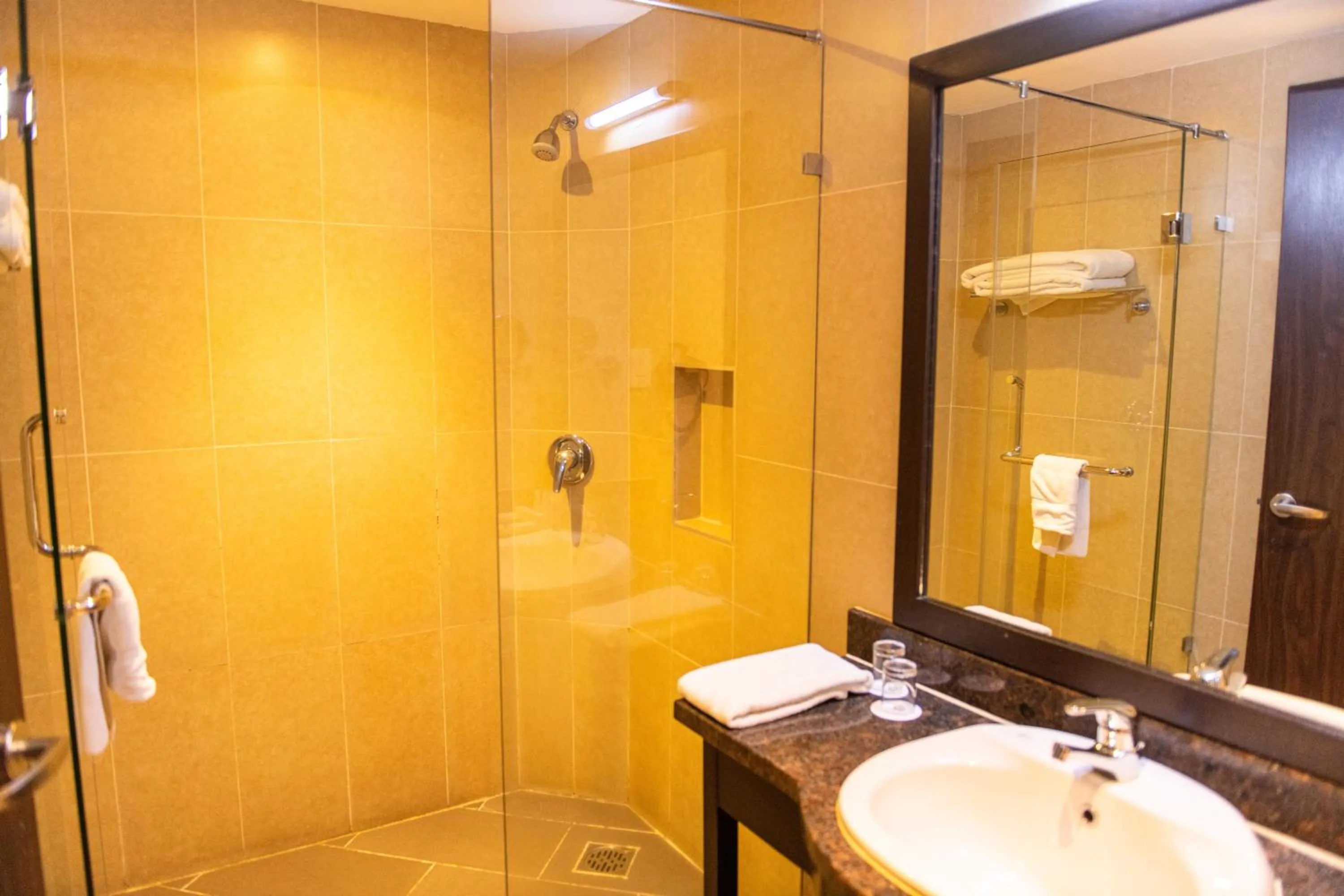 Shower in Acacia Premier Hotel
