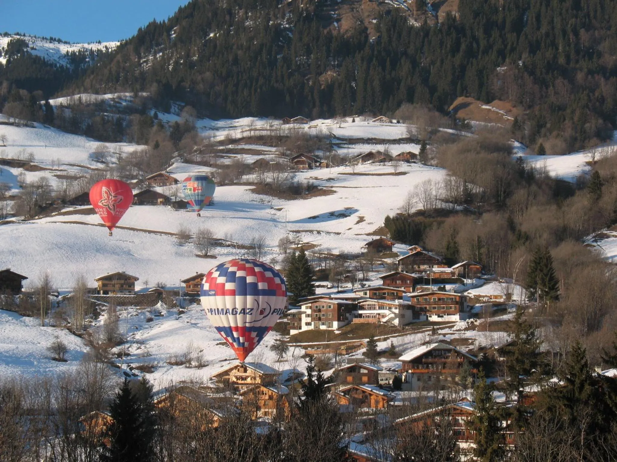 Activities in ULVF Les Essertets