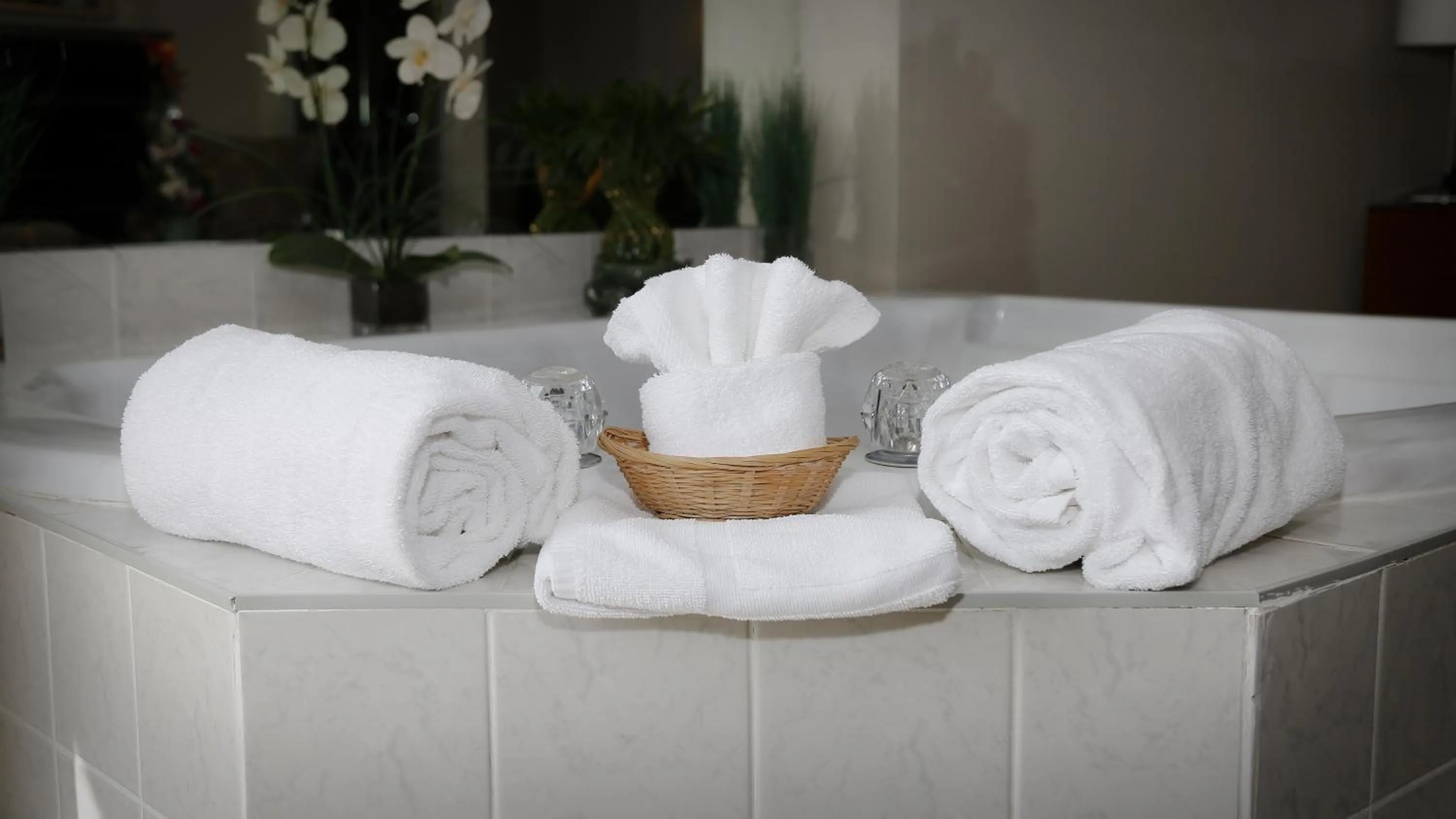 Excelsior Hôtel Spa Sainte-Adèle