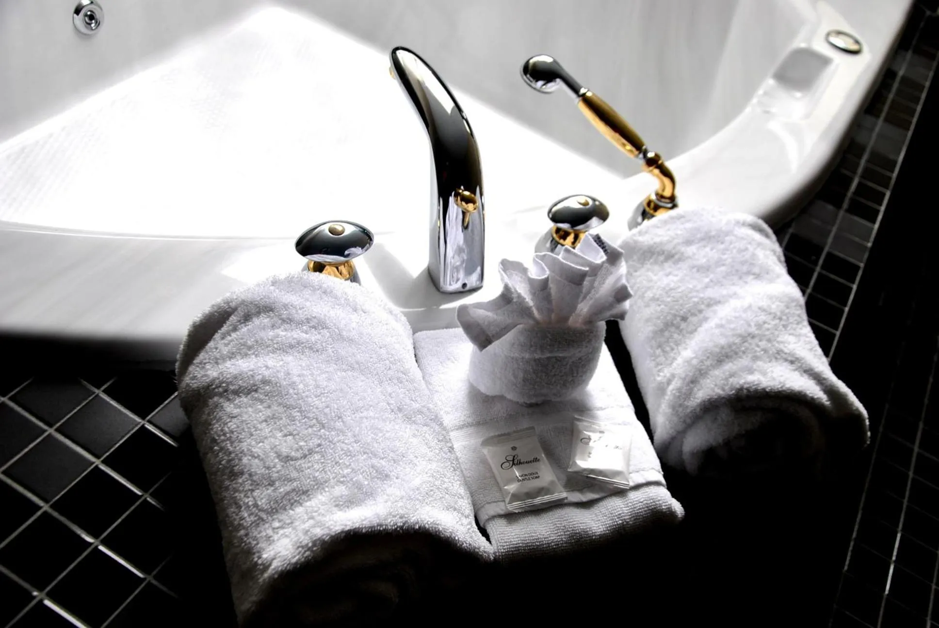 Excelsior Hôtel Spa Sainte-Adèle