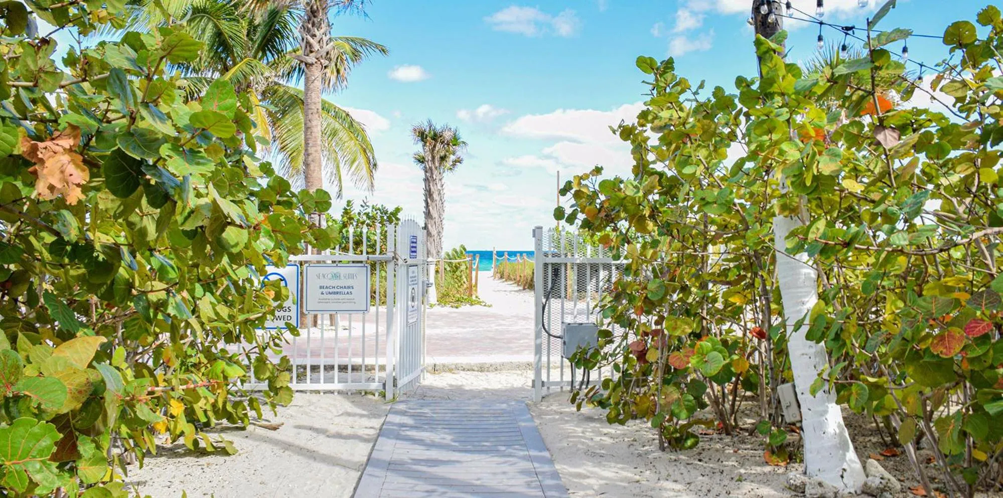 Beach in Seacoast Suites on Miami Beach