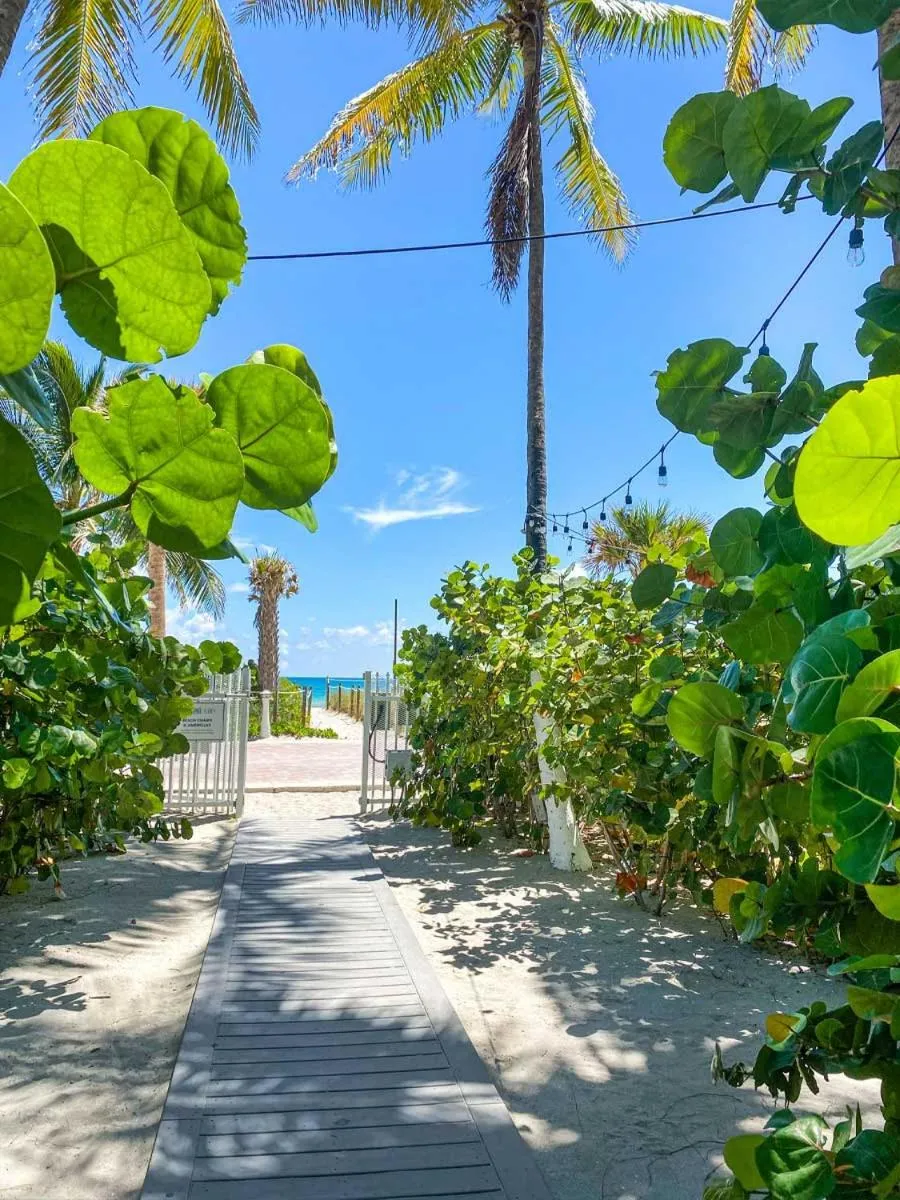 Beach in Seacoast Suites on Miami Beach