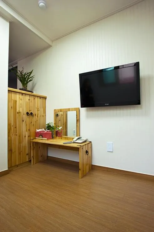 TV and multimedia in Myeongdong Ecohouse