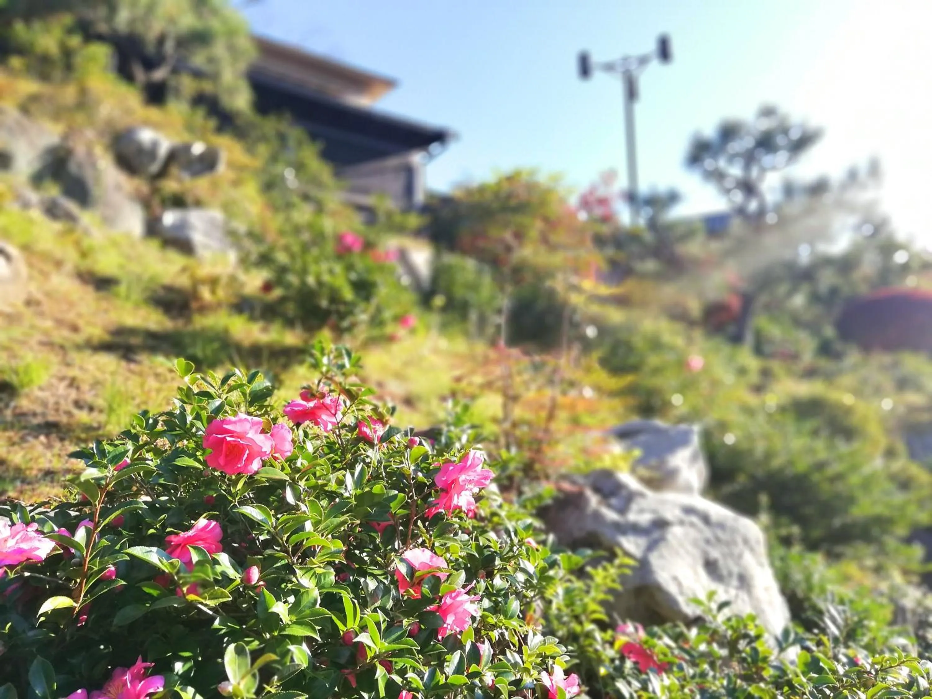 Day in Ishinoya Izunagaoka - TKP Hotels & Resorts