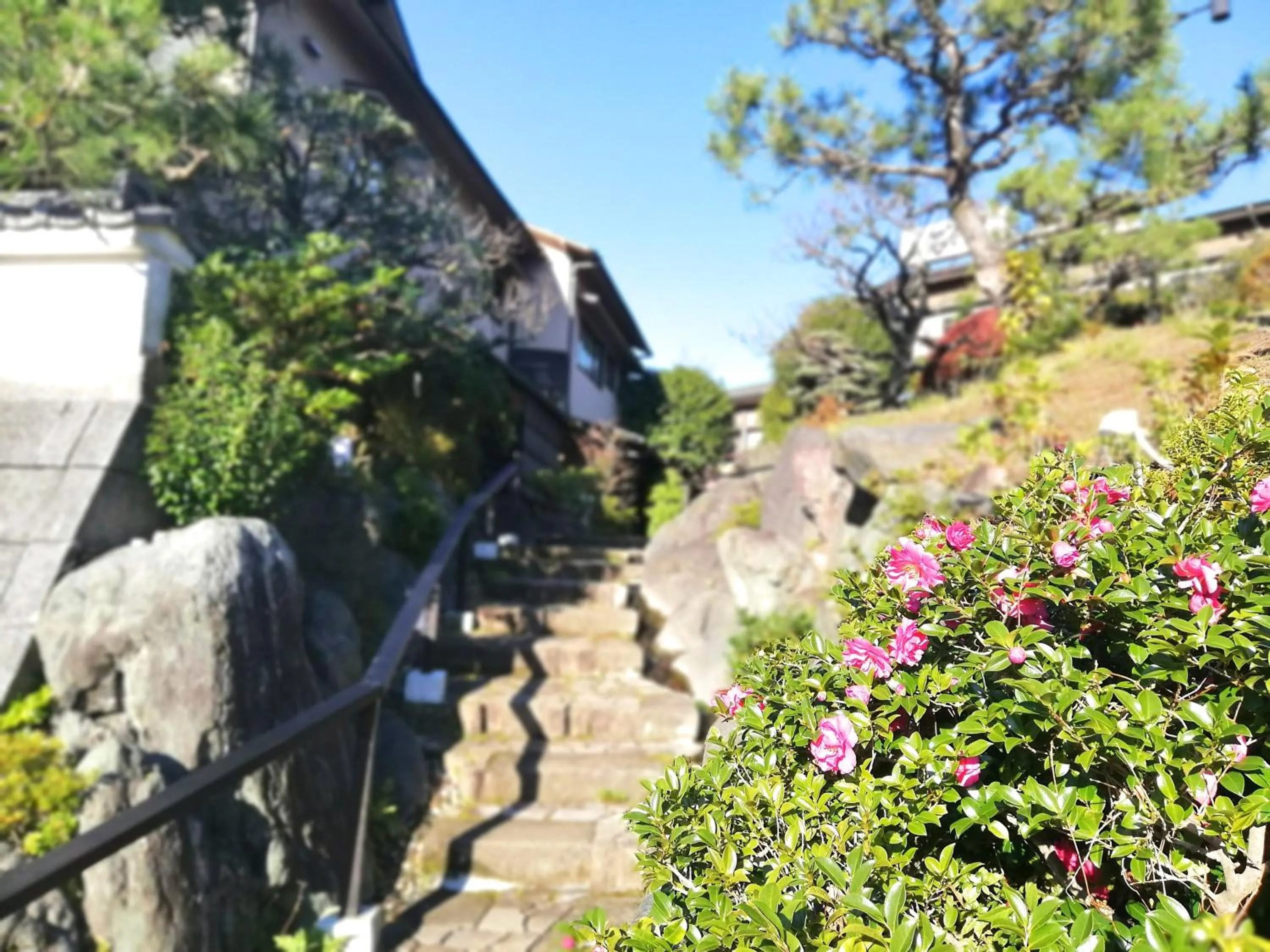 Day in Ishinoya Izunagaoka - TKP Hotels & Resorts