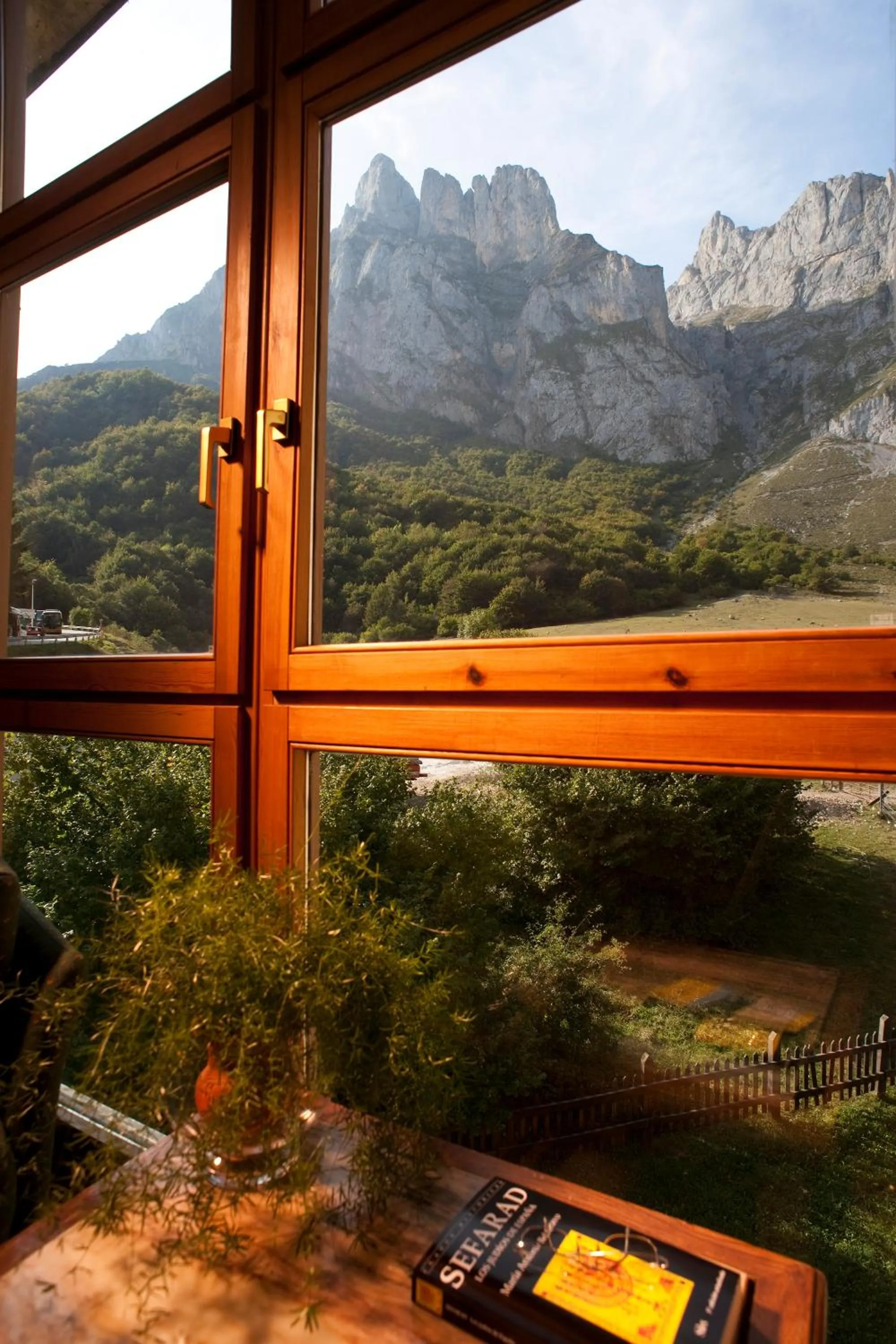 View (from property/room) in Parador de Fuente Dé