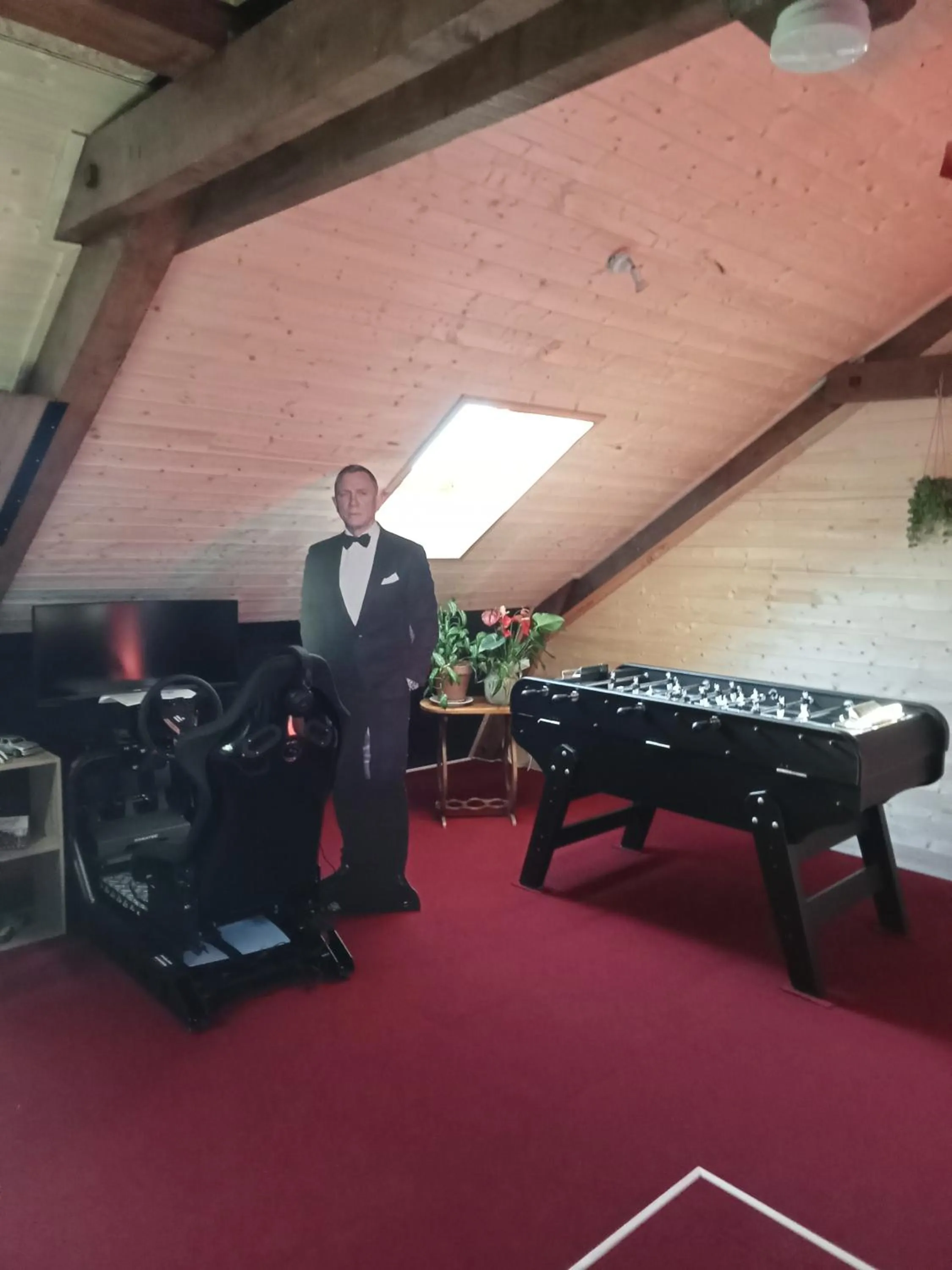 Game Room in A l'Orée du Parc