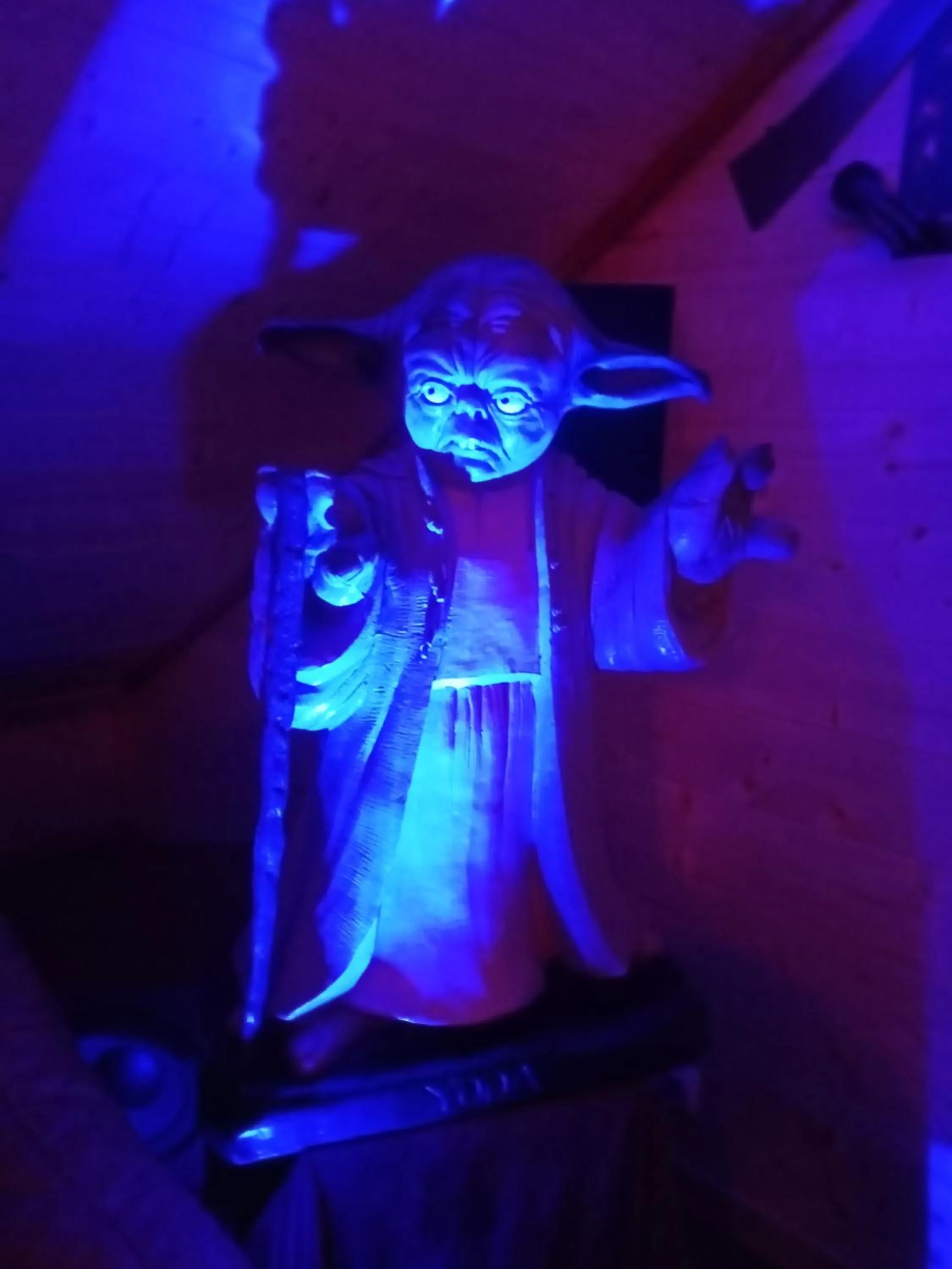 Activities in A l'Orée du Parc