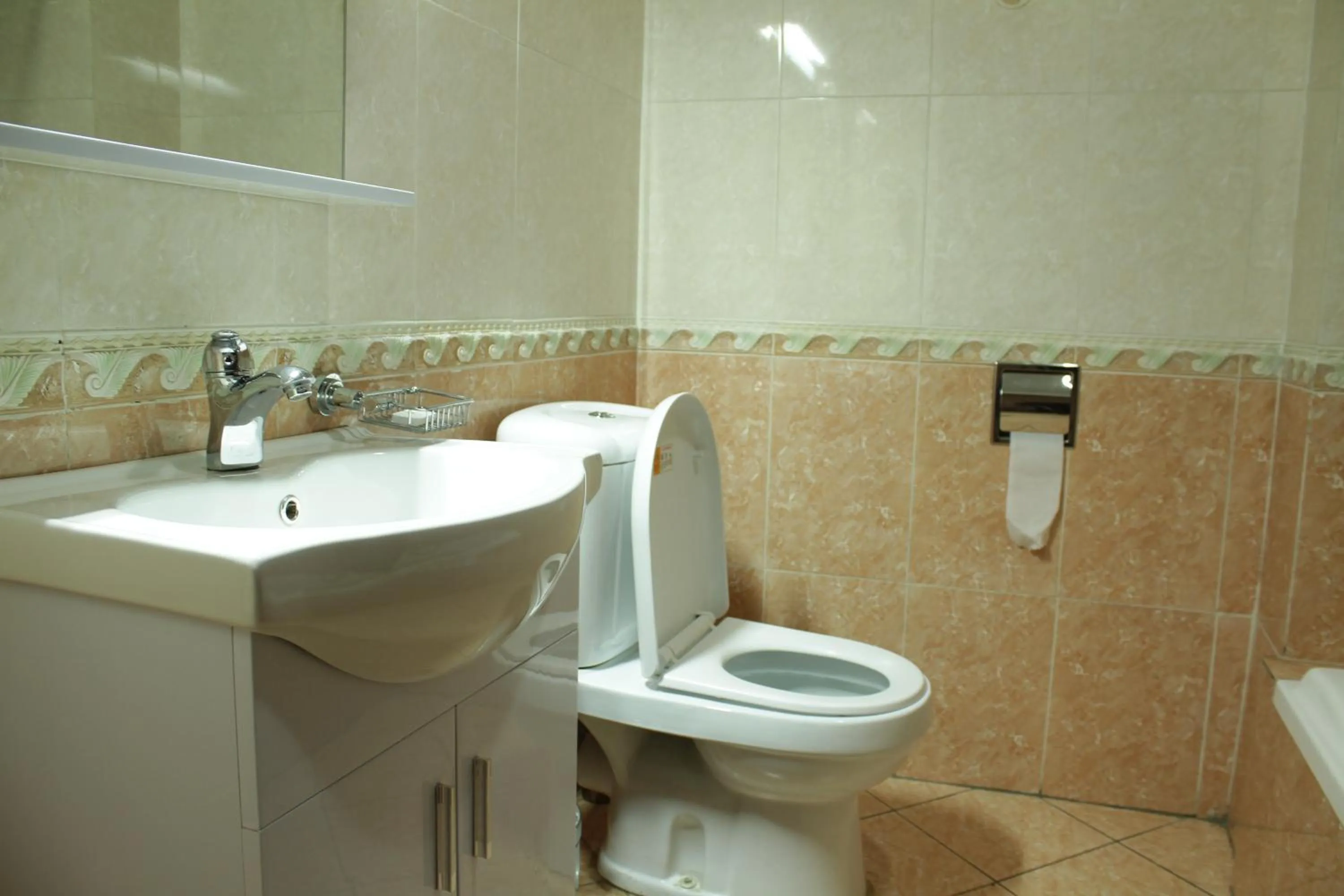 Bathroom in Debredamo Hotel