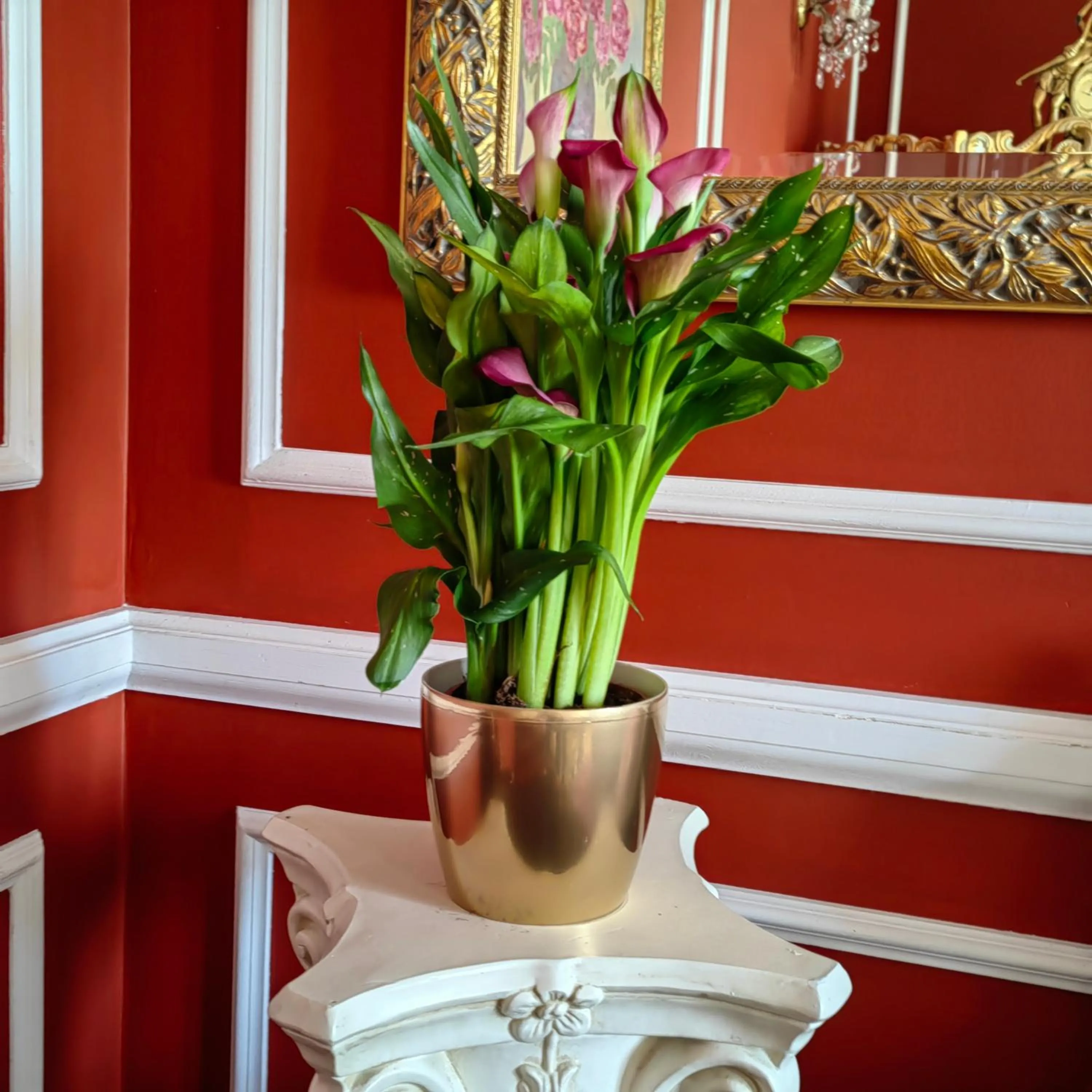 Bathroom in Dworek Wola Ociecka