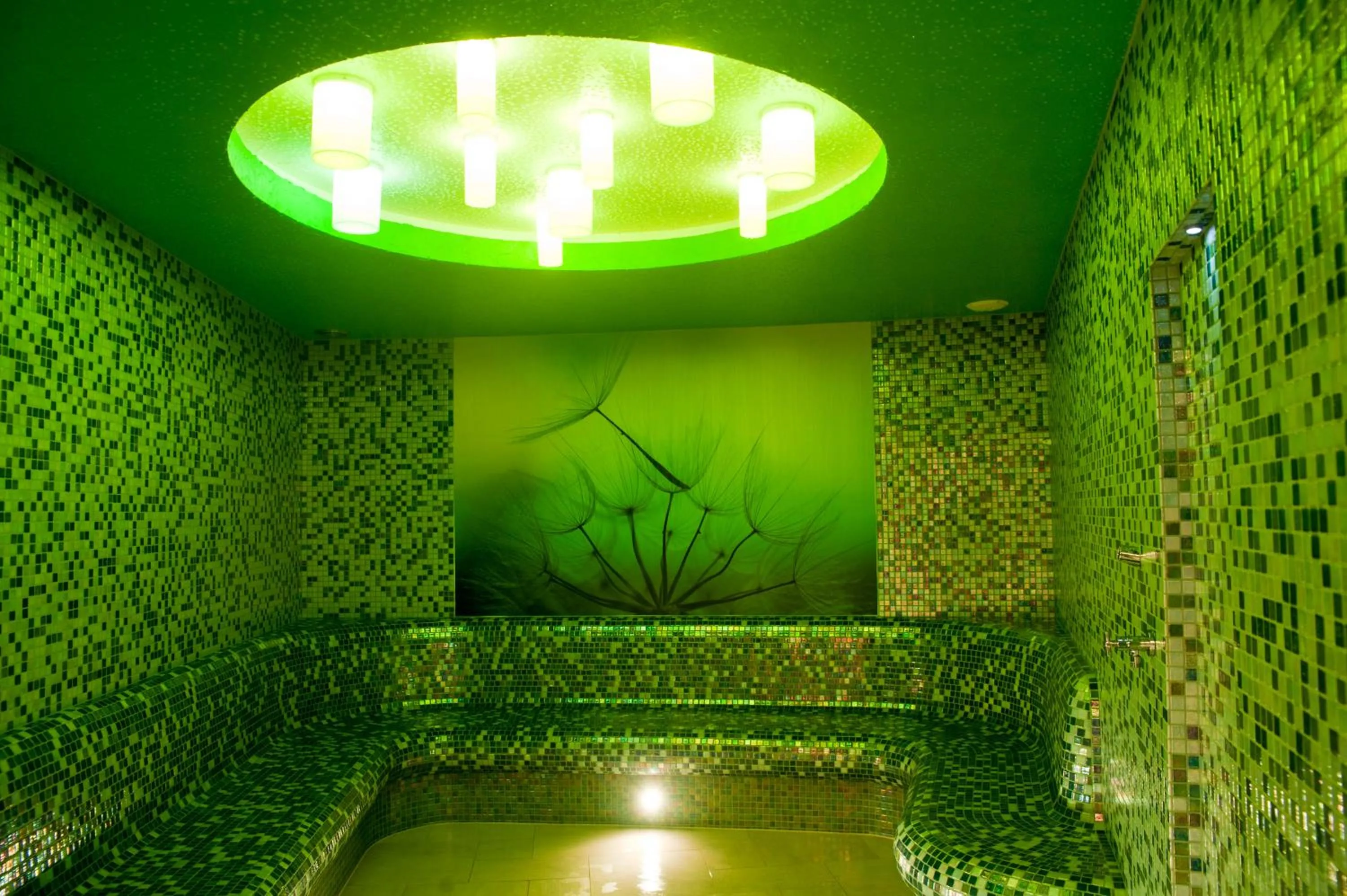 Spa and wellness centre/facilities in Hotel Stok