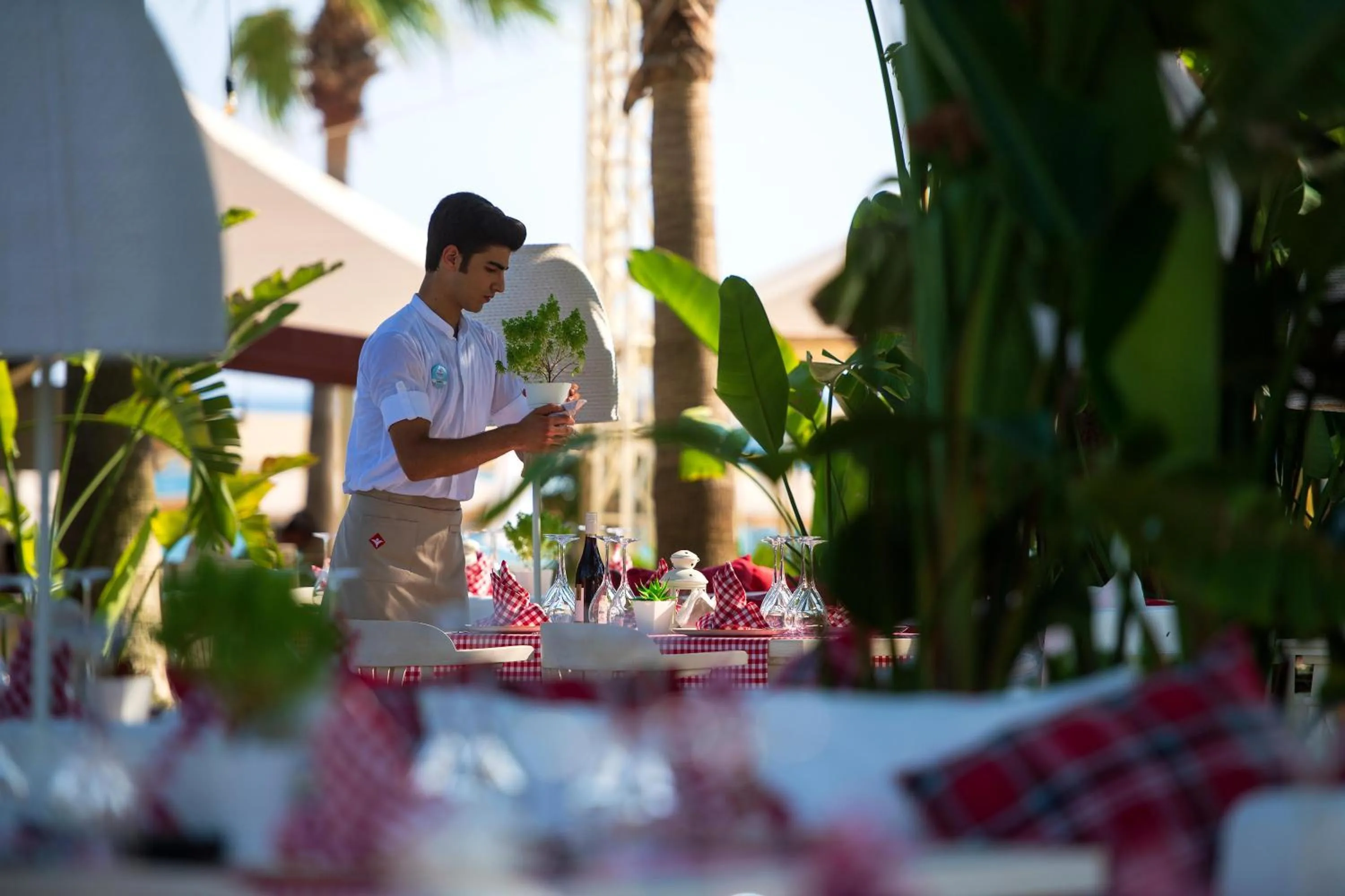 Restaurant/places to eat in Miramare Beach Hotel - Ultra All Inclusive